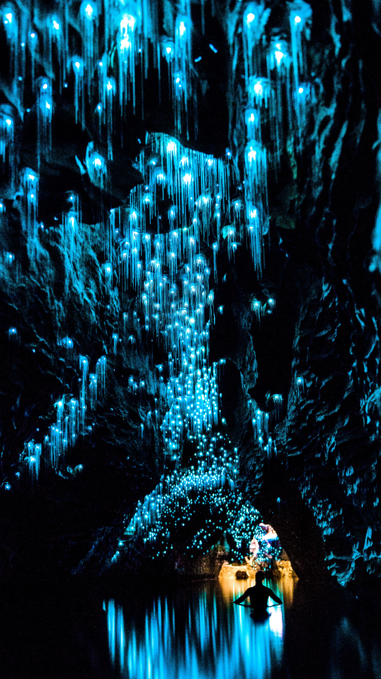 Обои Вайтомо пещеры светлячков, пещеры вайтомо, пещера Руакури, светлячок, светляк в разрешении 750x1334