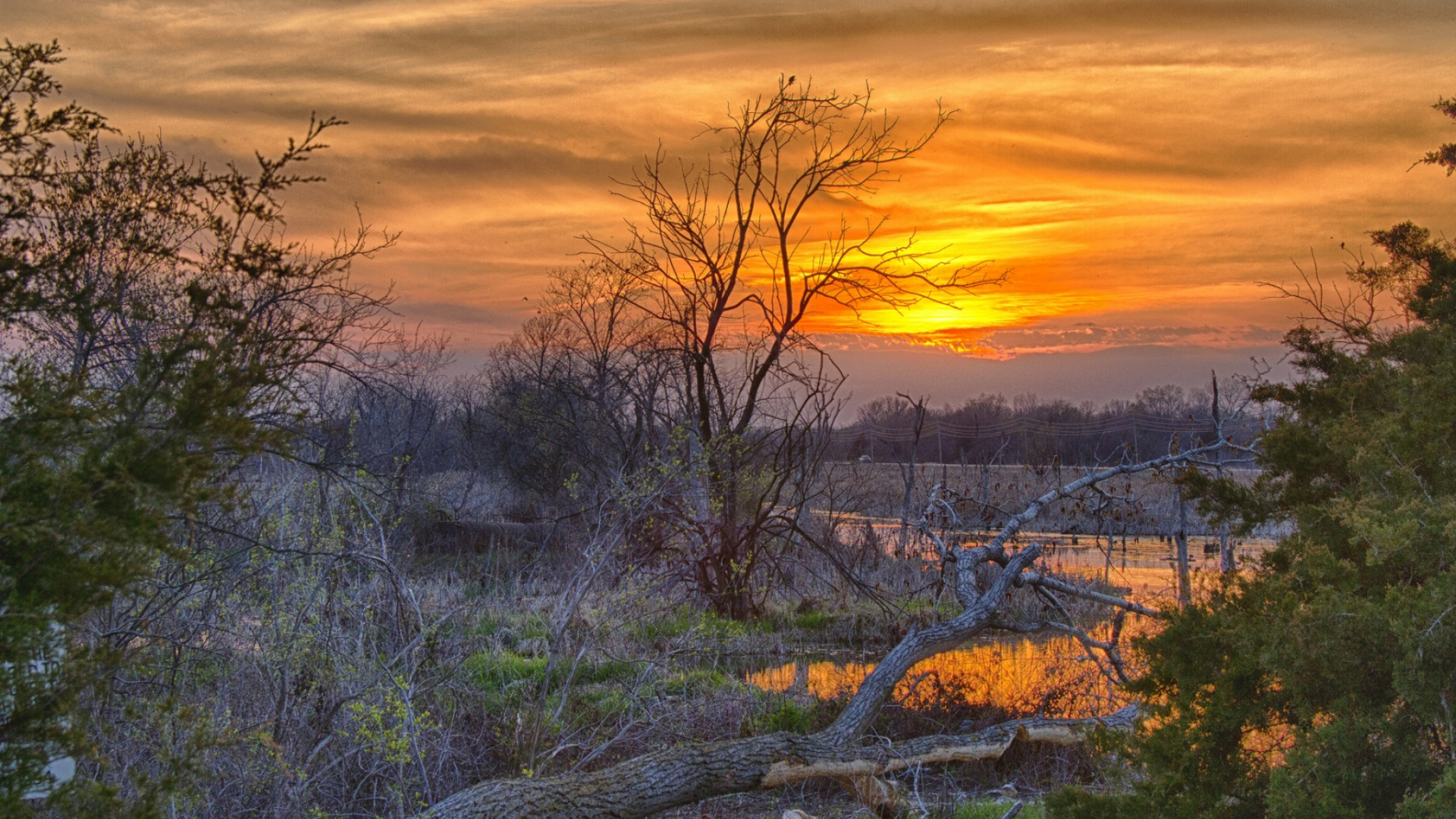 Обои закат, природа, восход солнца, дерево, утро в разрешении 1920x1080