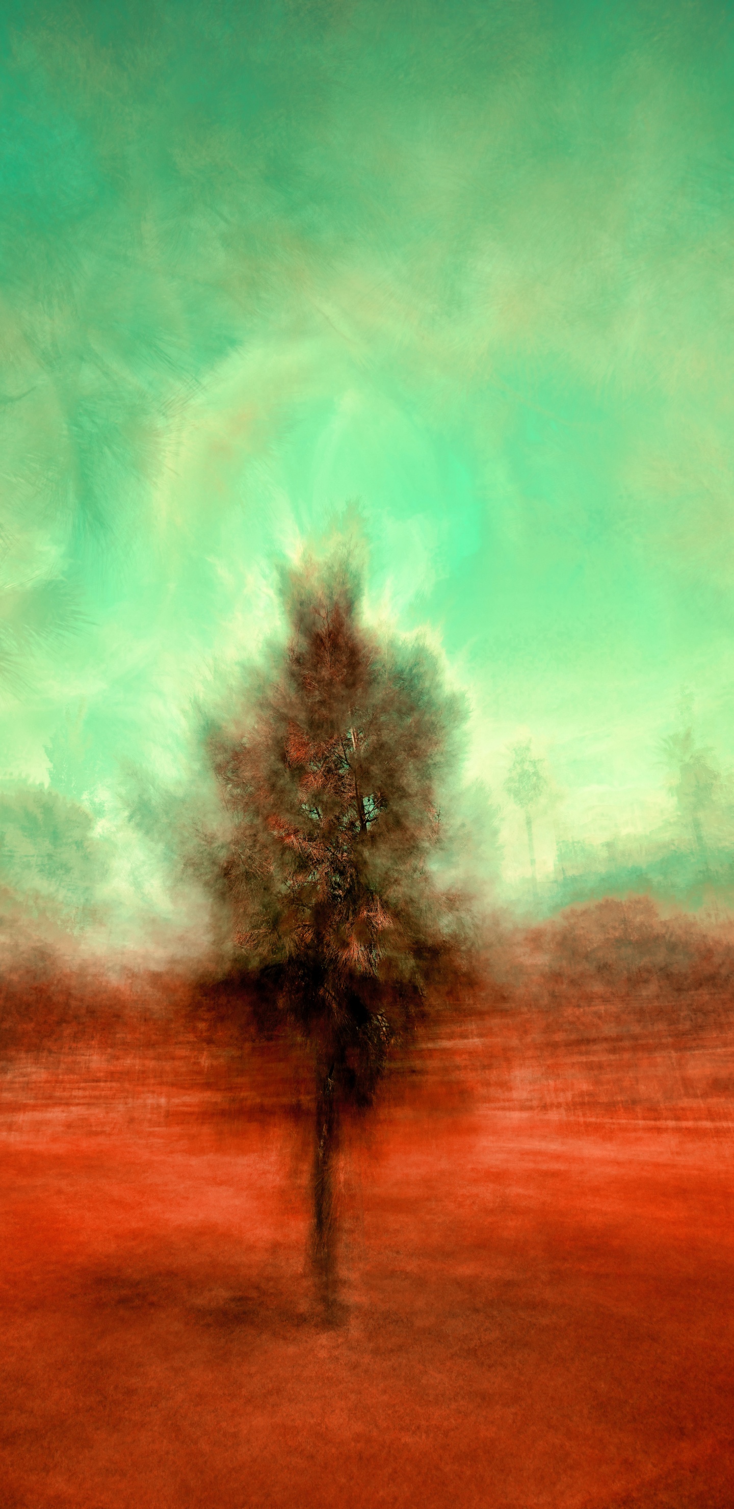 Обои лес, природа, атмосфера, арт, пейзаж в разрешении 1440x2960