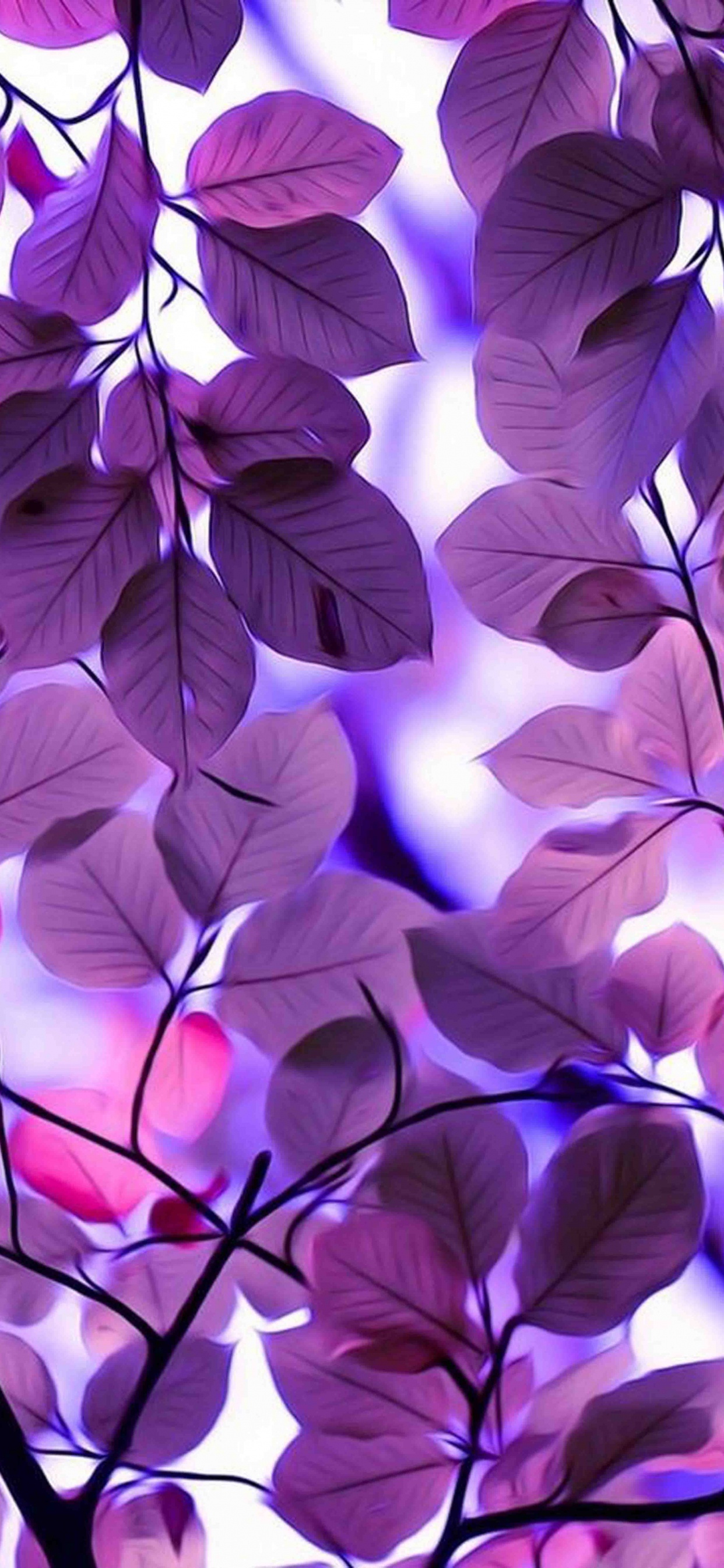 Обои Фиолетовый, пурпур, синий, сирень, лист в разрешении 1242x2688