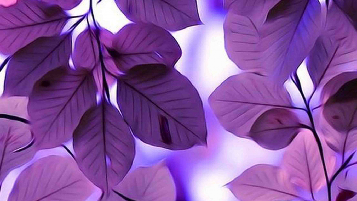 Обои Фиолетовый, пурпур, синий, сирень, лист в разрешении 1366x768
