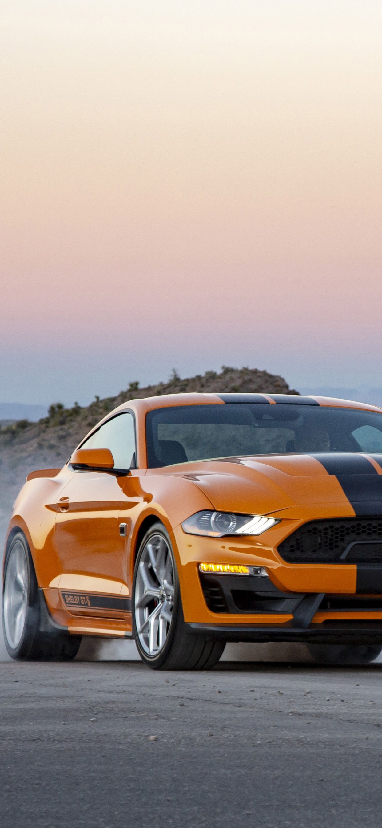 Обои авто, Шелби Мустанг, Форд Мустанг, ford gt, спорткар в разрешении 1242x2688