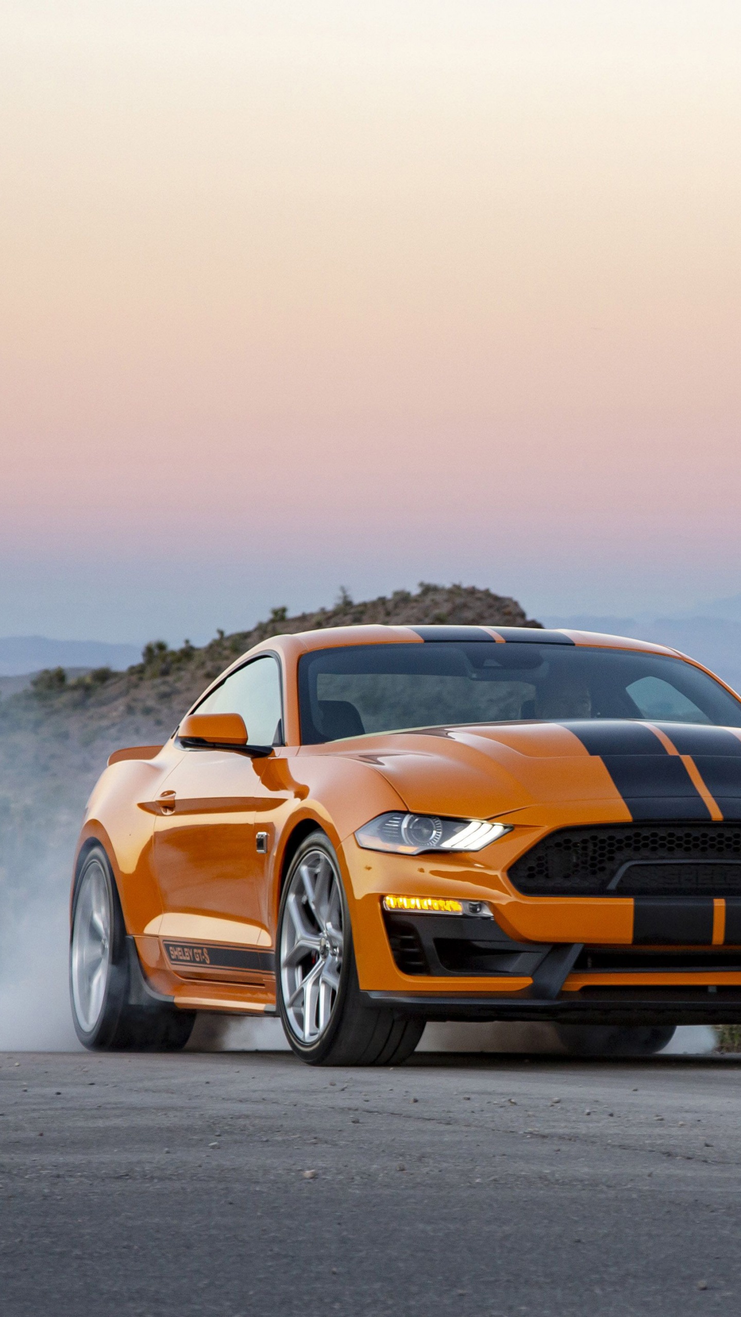 Обои авто, Шелби Мустанг, Форд Мустанг, ford gt, спорткар в разрешении 1440x2560