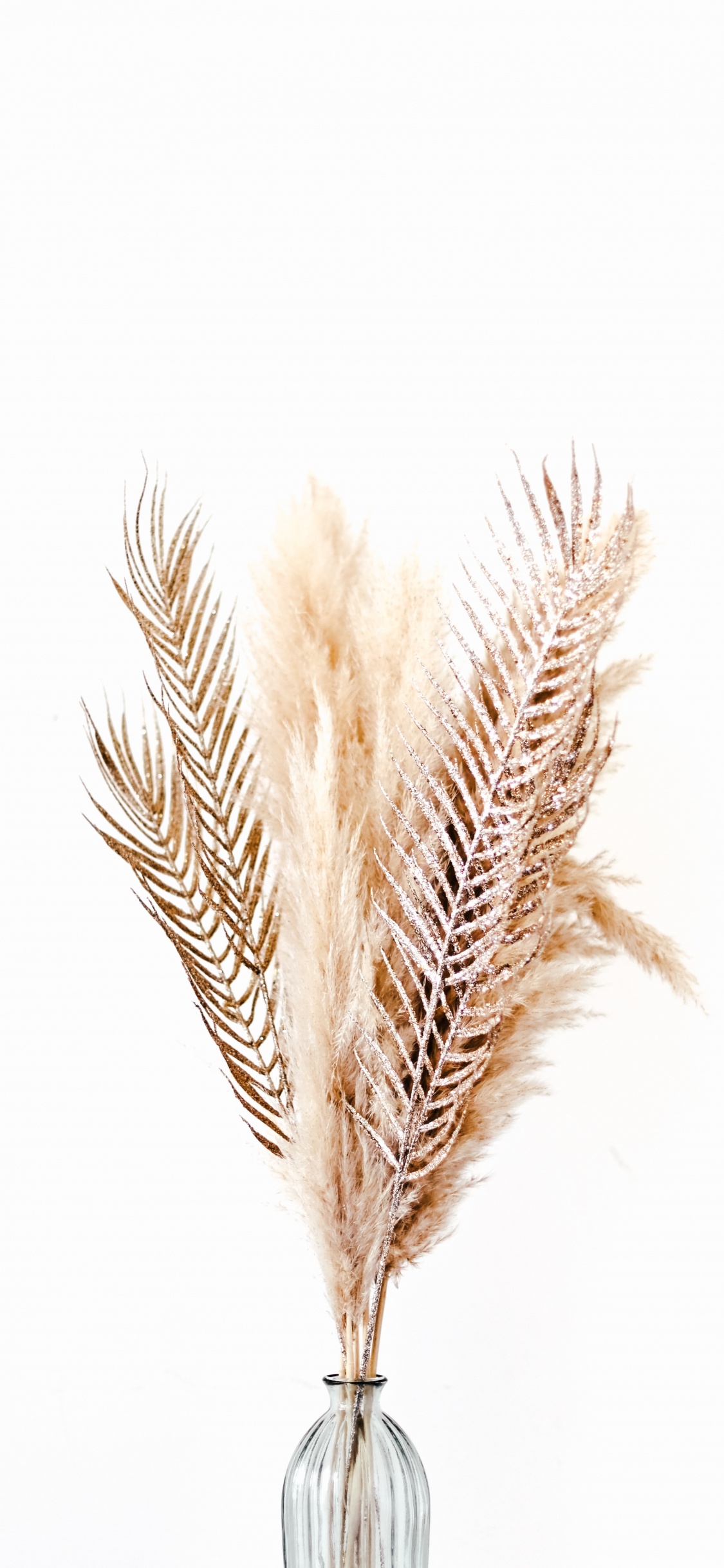 Обои птичье перо, семейство травы, ручка, написание реализации, модный аксессуар в разрешении 1125x2436