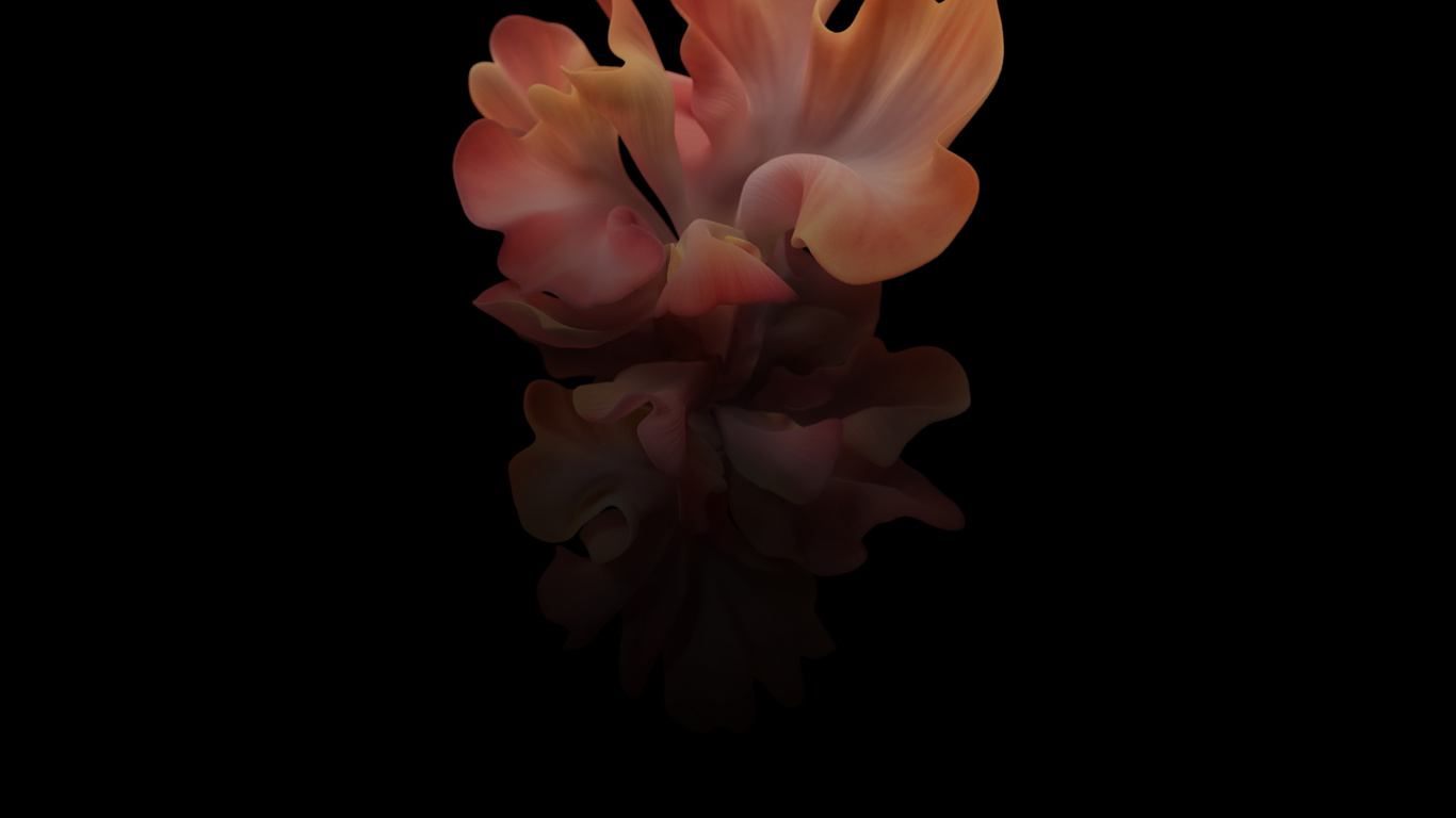 Обои Samsung Galaxy, Samsung, Samsung Galaxy Z Flip, разблокирован, смартфон в разрешении 1366x768