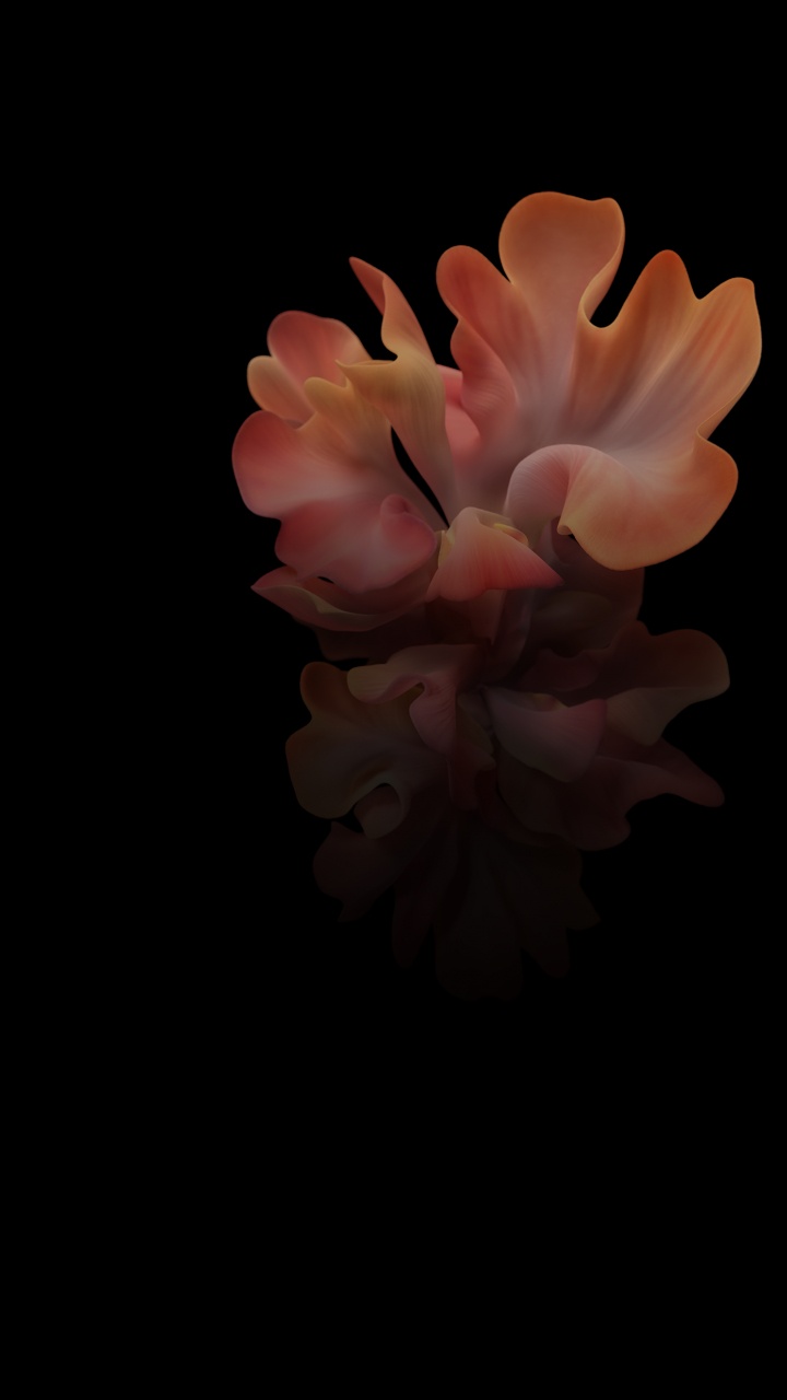 Обои Samsung Galaxy, Samsung, Samsung Galaxy Z Flip, разблокирован, смартфон в разрешении 720x1280