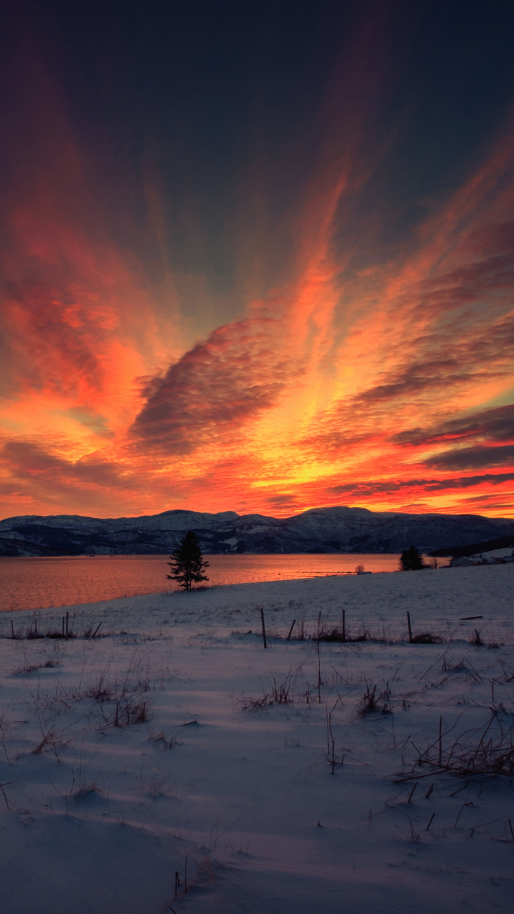 Обои закат, восход солнца, снег, рассвет, послесвечение в разрешении 750x1334