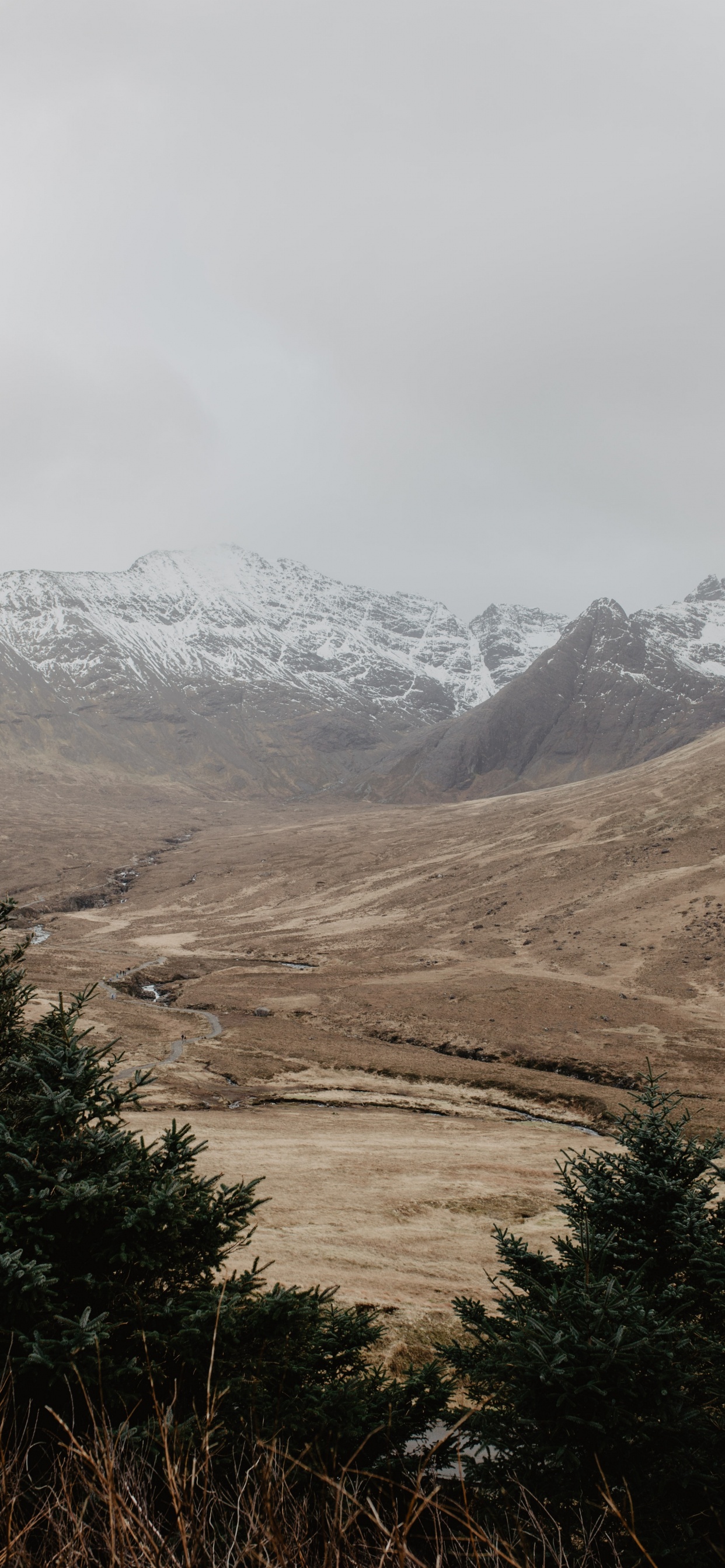 Обои нагорье, горный рельеф, гора, дикая местность, горный хребет в разрешении 1242x2688