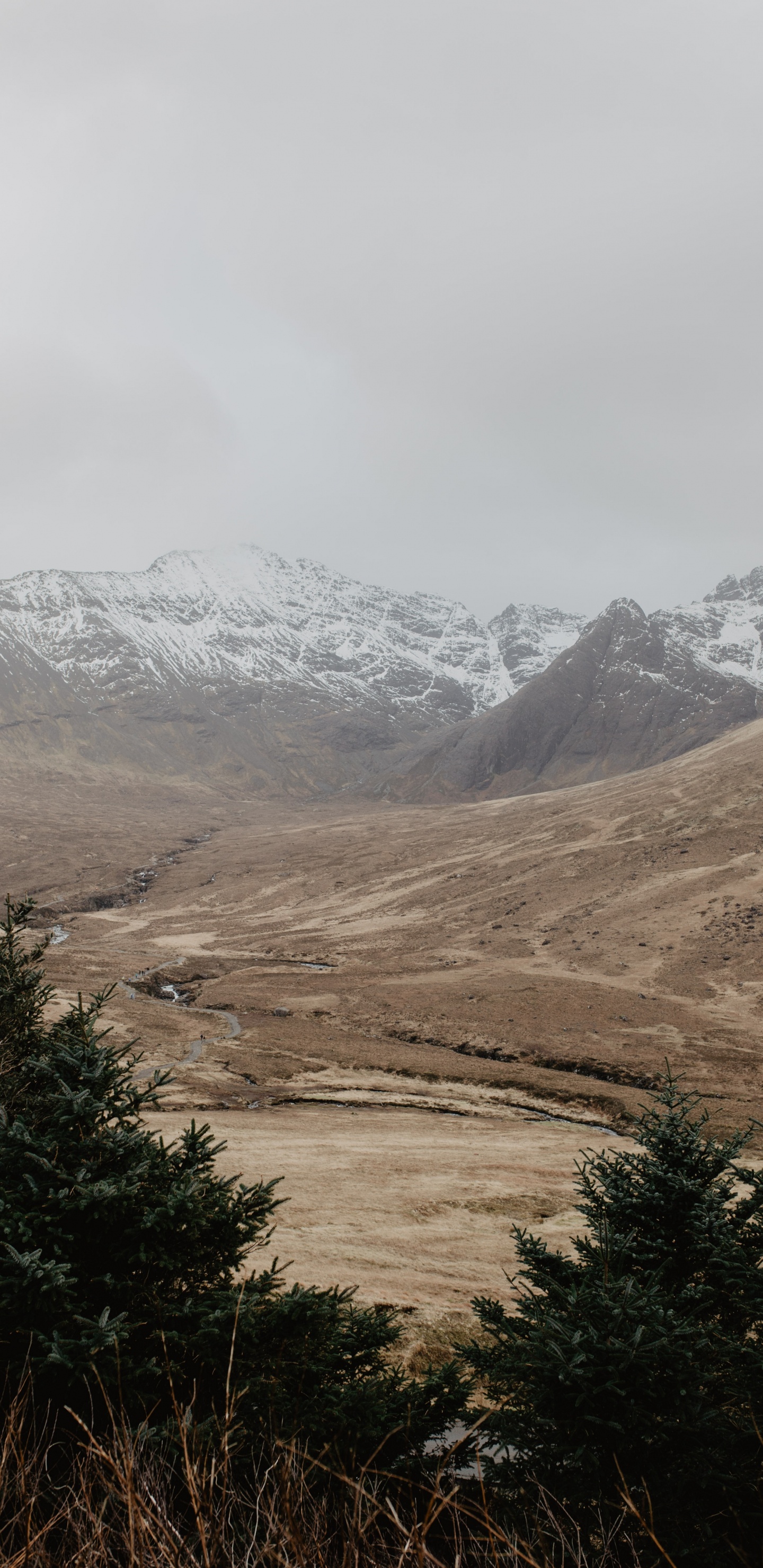 Обои нагорье, горный рельеф, гора, дикая местность, горный хребет в разрешении 1440x2960