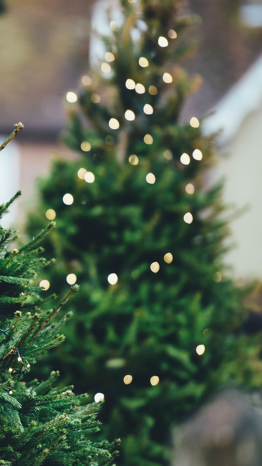 Обои елка, Рождественский день, дерево, swiatla choinki, сосна в разрешении 1080x1920