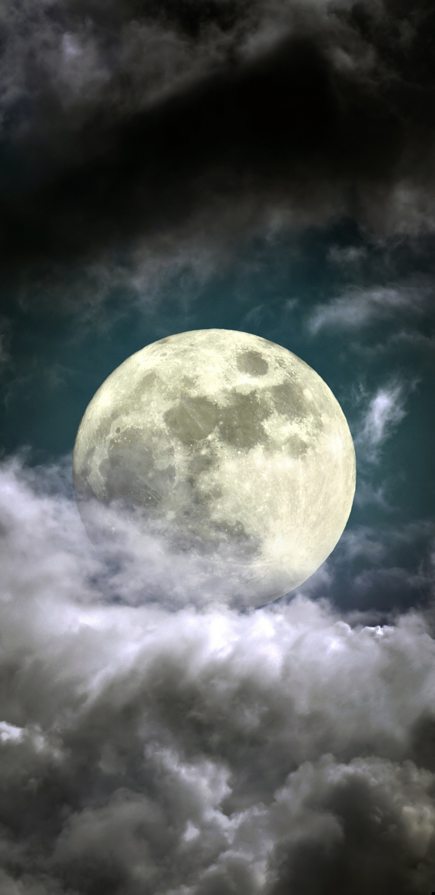 Обои луна, суперлуние, облако, ночное небо, природа в разрешении 1440x2960