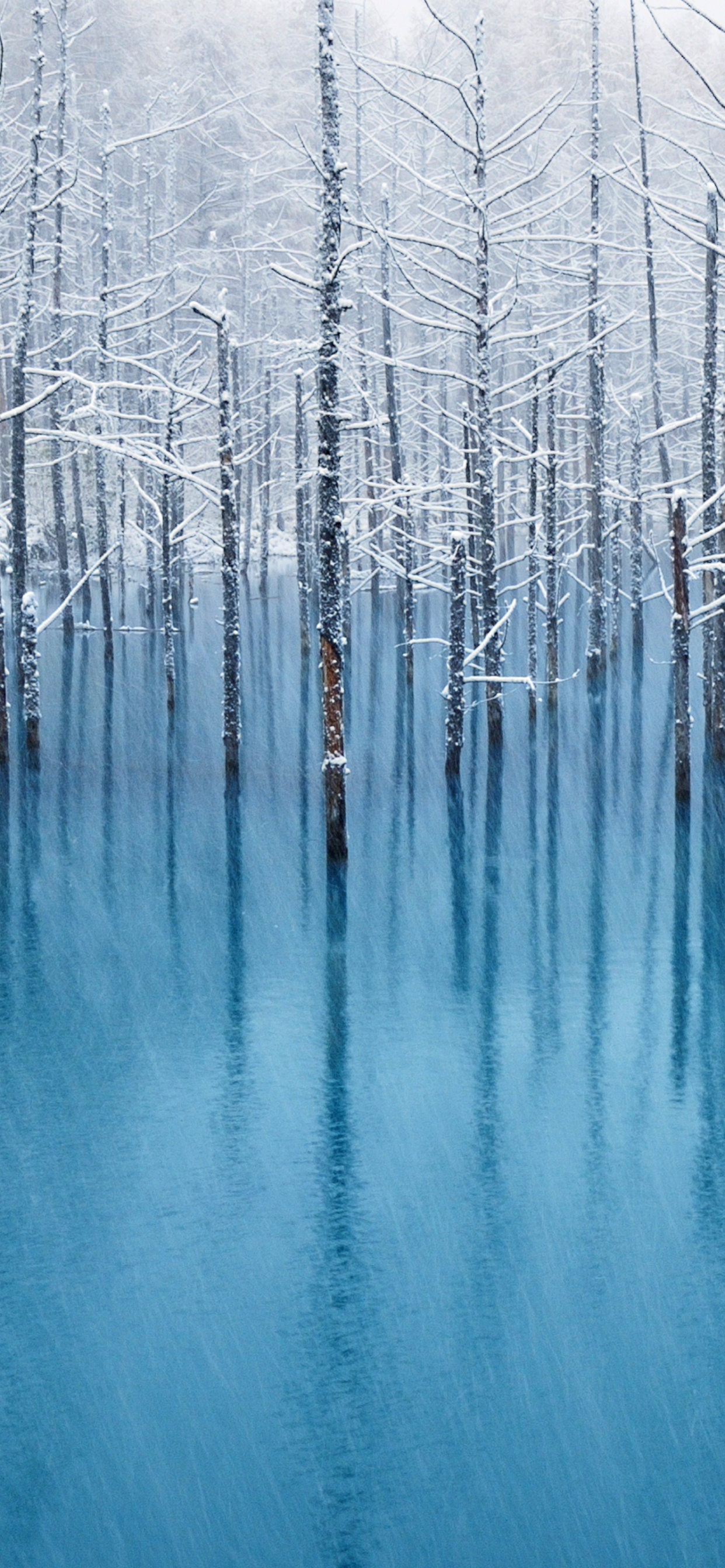 Обои байрон кэти рабочие вопросы, любить то, что есть, вопрос, вода, природа в разрешении 1242x2688