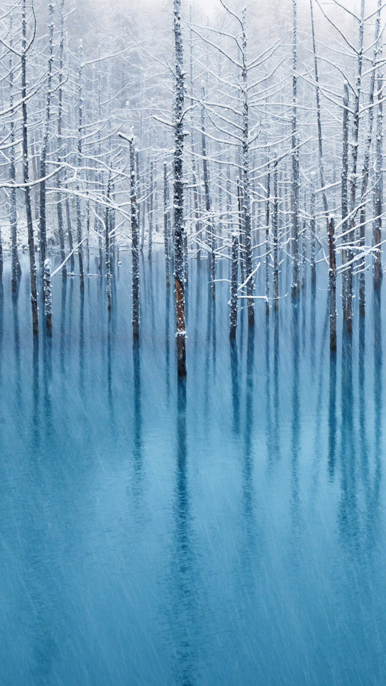 Обои байрон кэти рабочие вопросы, любить то, что есть, вопрос, вода, природа в разрешении 750x1334