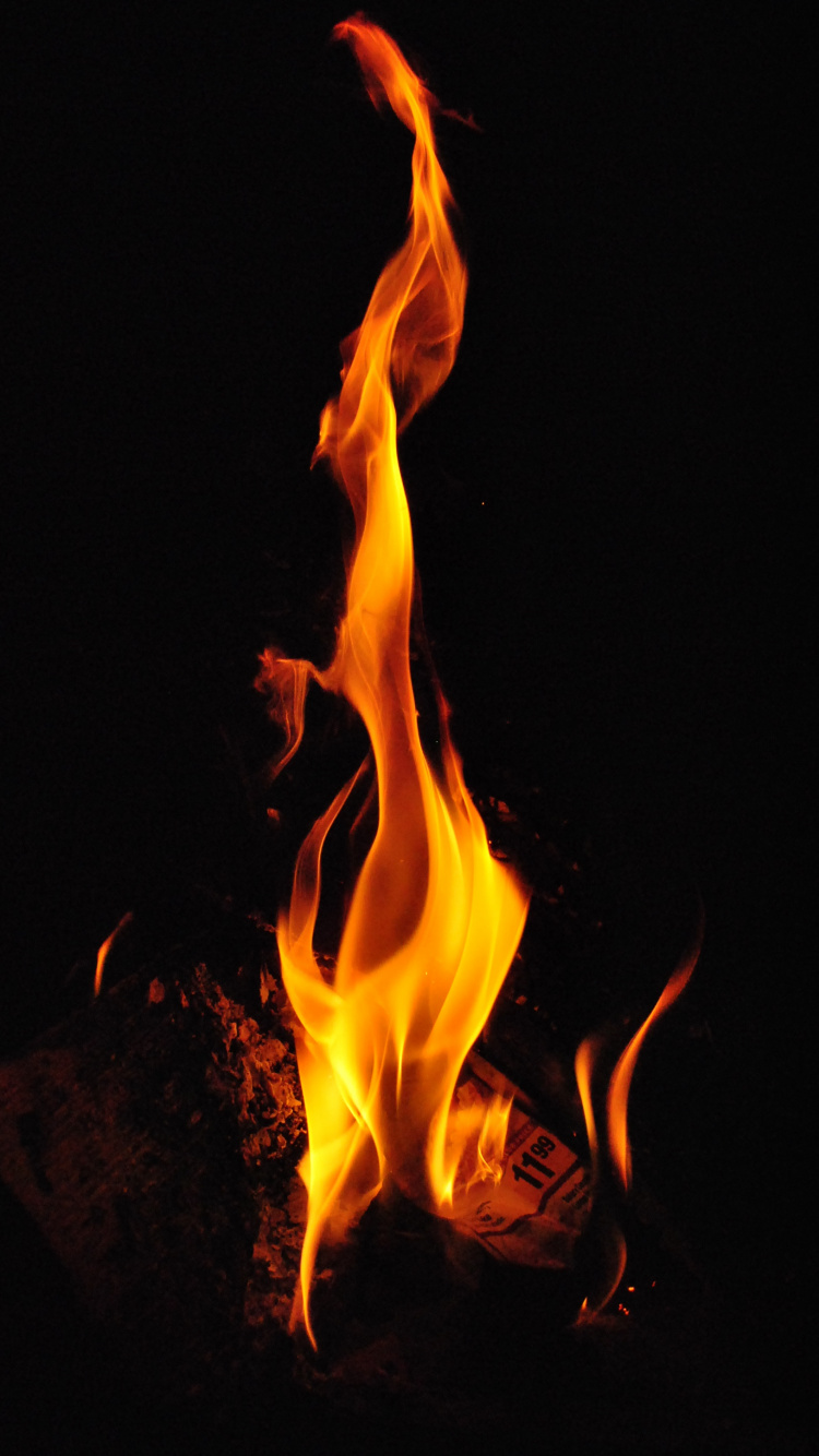 Обои огонь, пламя, тепло, музыка, воздух в разрешении 750x1334