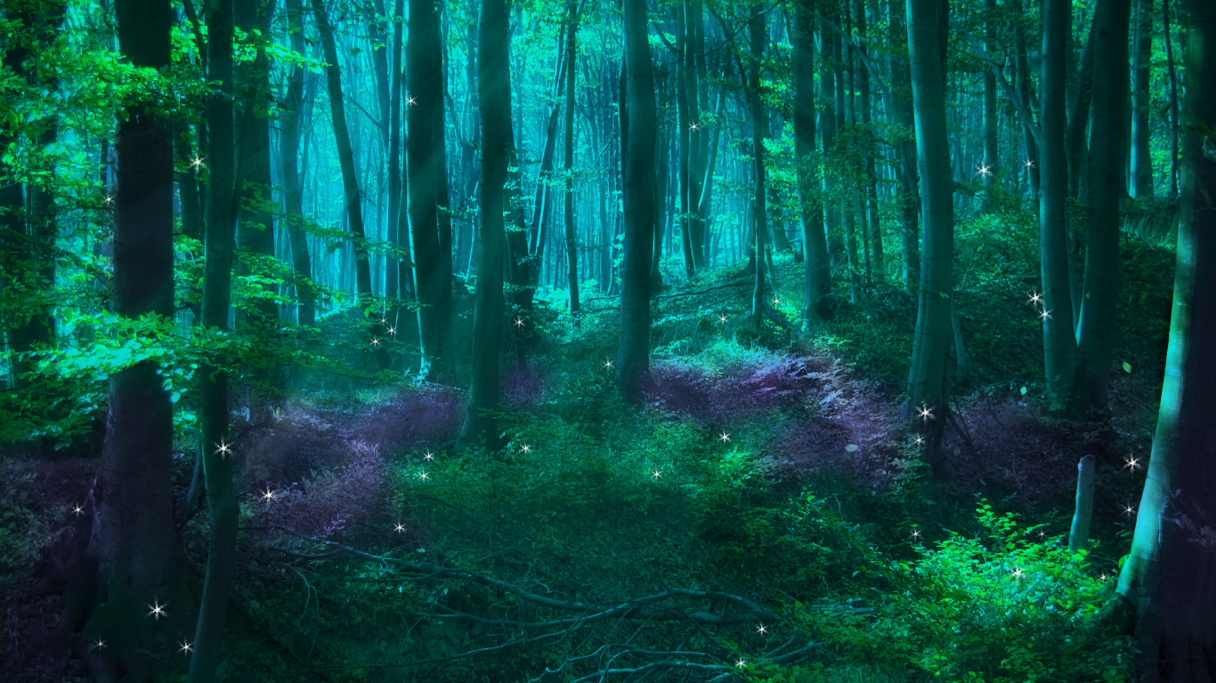 Обои зачарованный лес, фея, лес, природа, зеленый в разрешении 1366x768