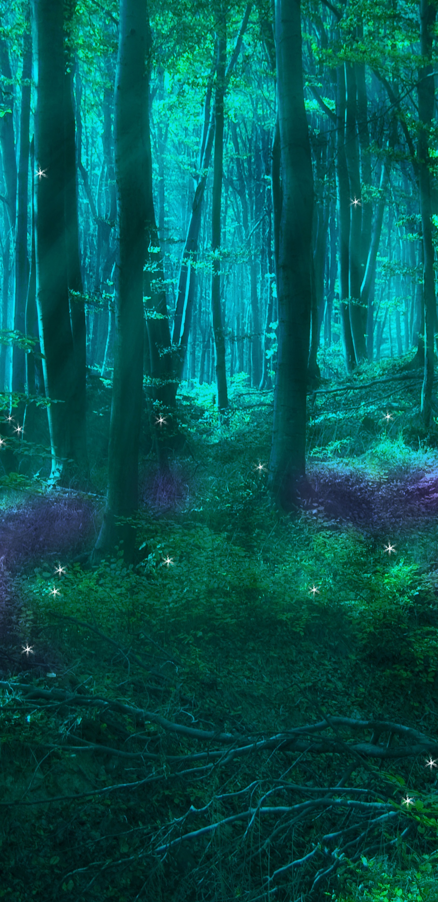 Обои зачарованный лес, фея, лес, природа, зеленый в разрешении 1440x2960