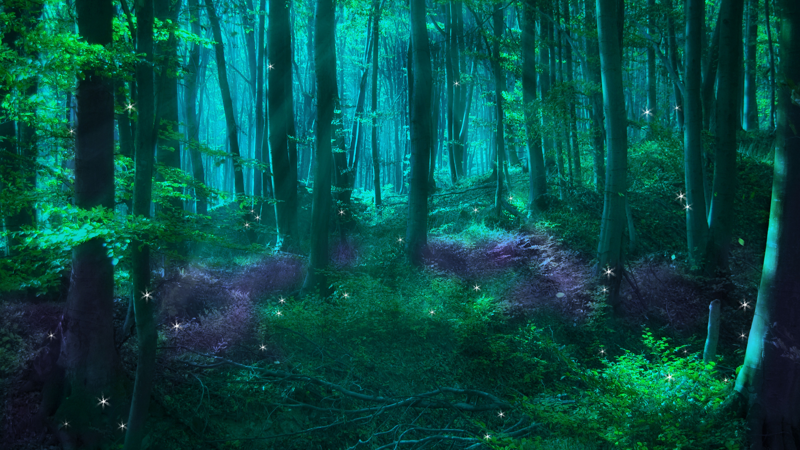 Обои зачарованный лес, фея, лес, природа, зеленый в разрешении 2560x1440