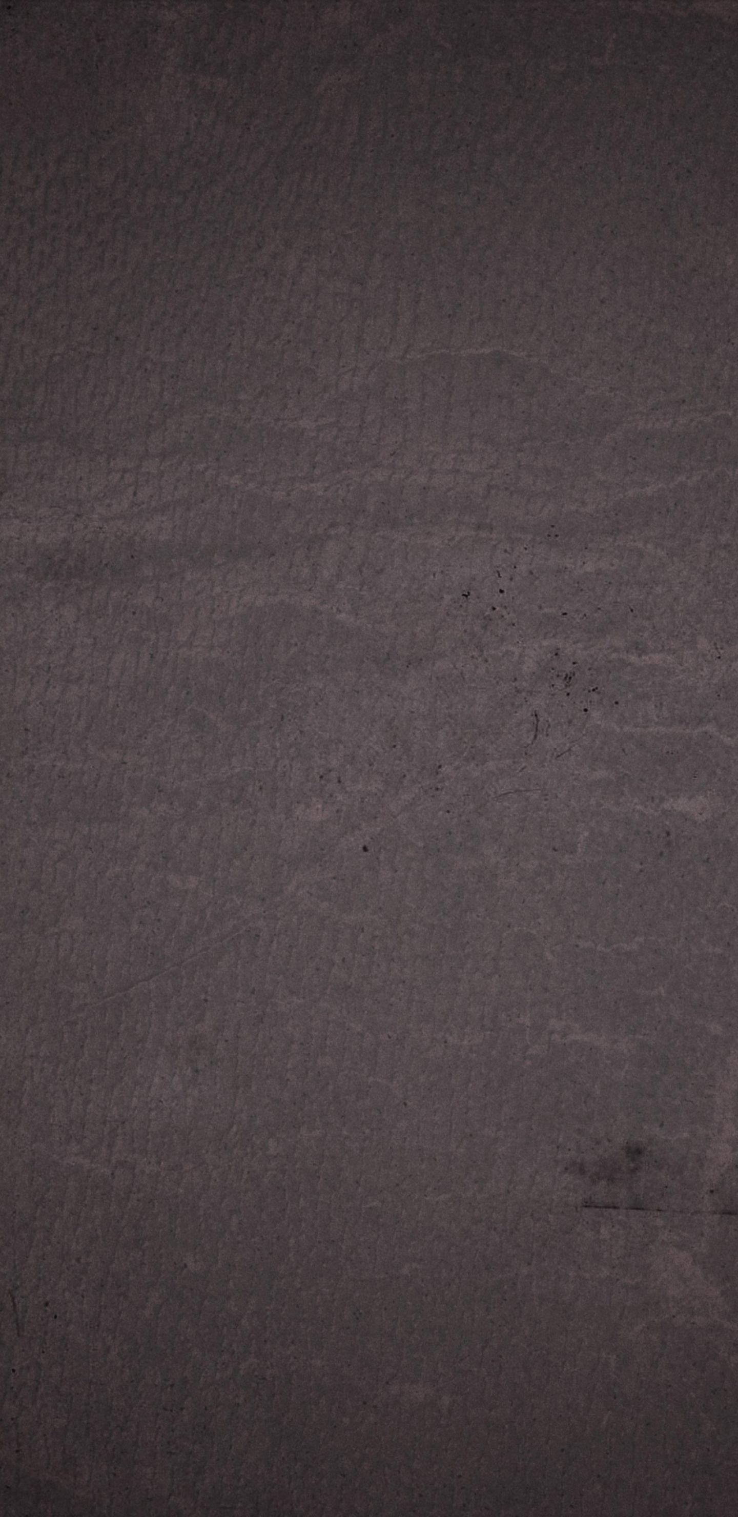 Обои атмосфера, древесина, серый цвет, асфальт, дорожное покрытие в разрешении 1440x2960