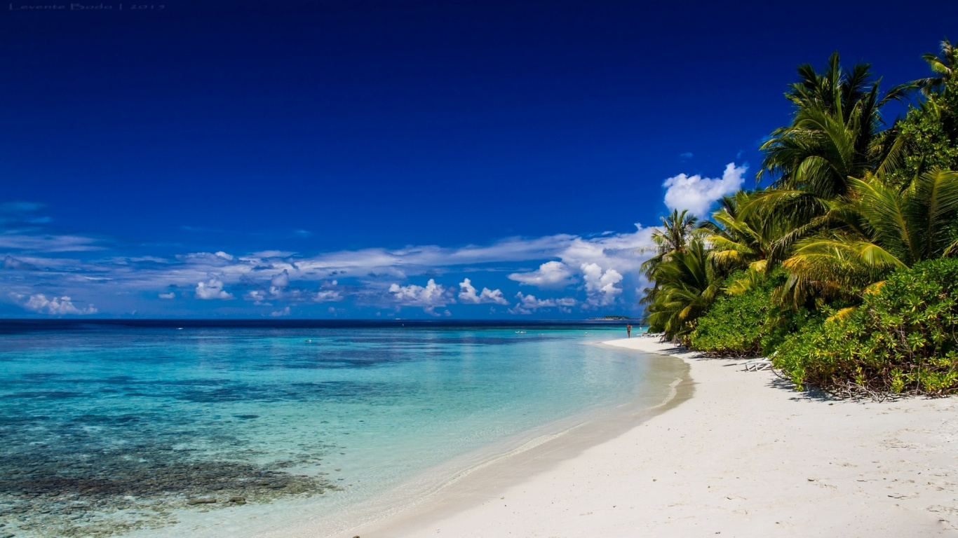 Обои пляж, водоем, море, тропическая зона, берег в разрешении 1366x768