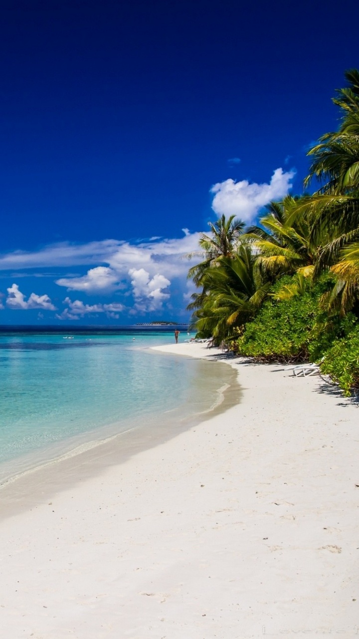 Обои пляж, водоем, море, тропическая зона, берег в разрешении 720x1280