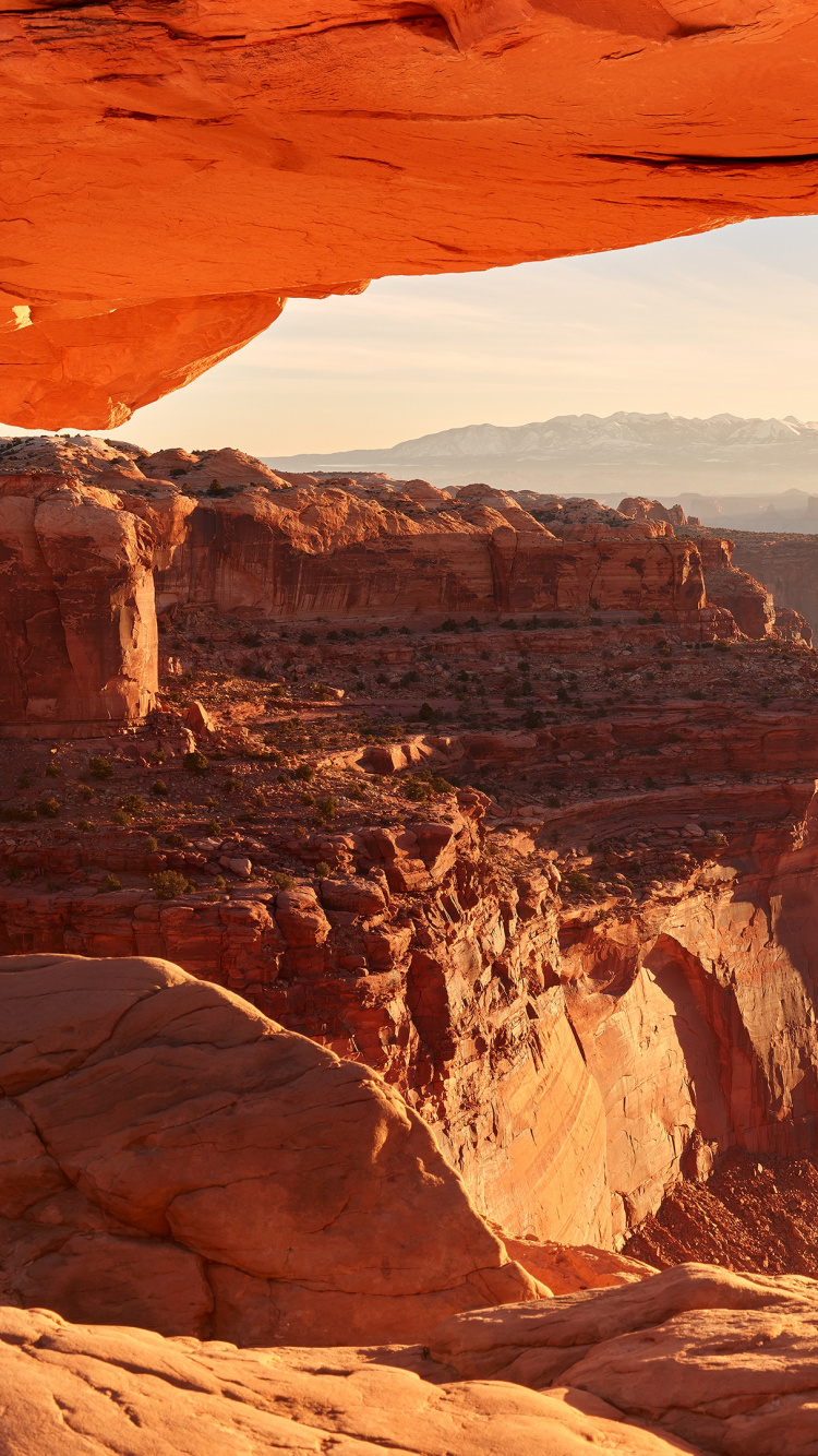 Обои Арка Меса, национальный парк, формирование, бесплодные земли, рок в разрешении 750x1334