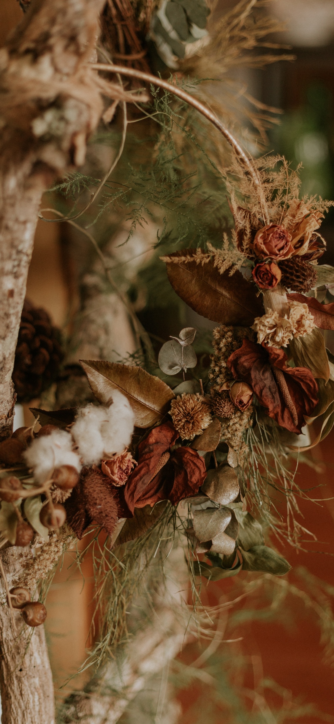 Обои Флора, семейства сосновых, цветок, натюрморт, прут в разрешении 1125x2436