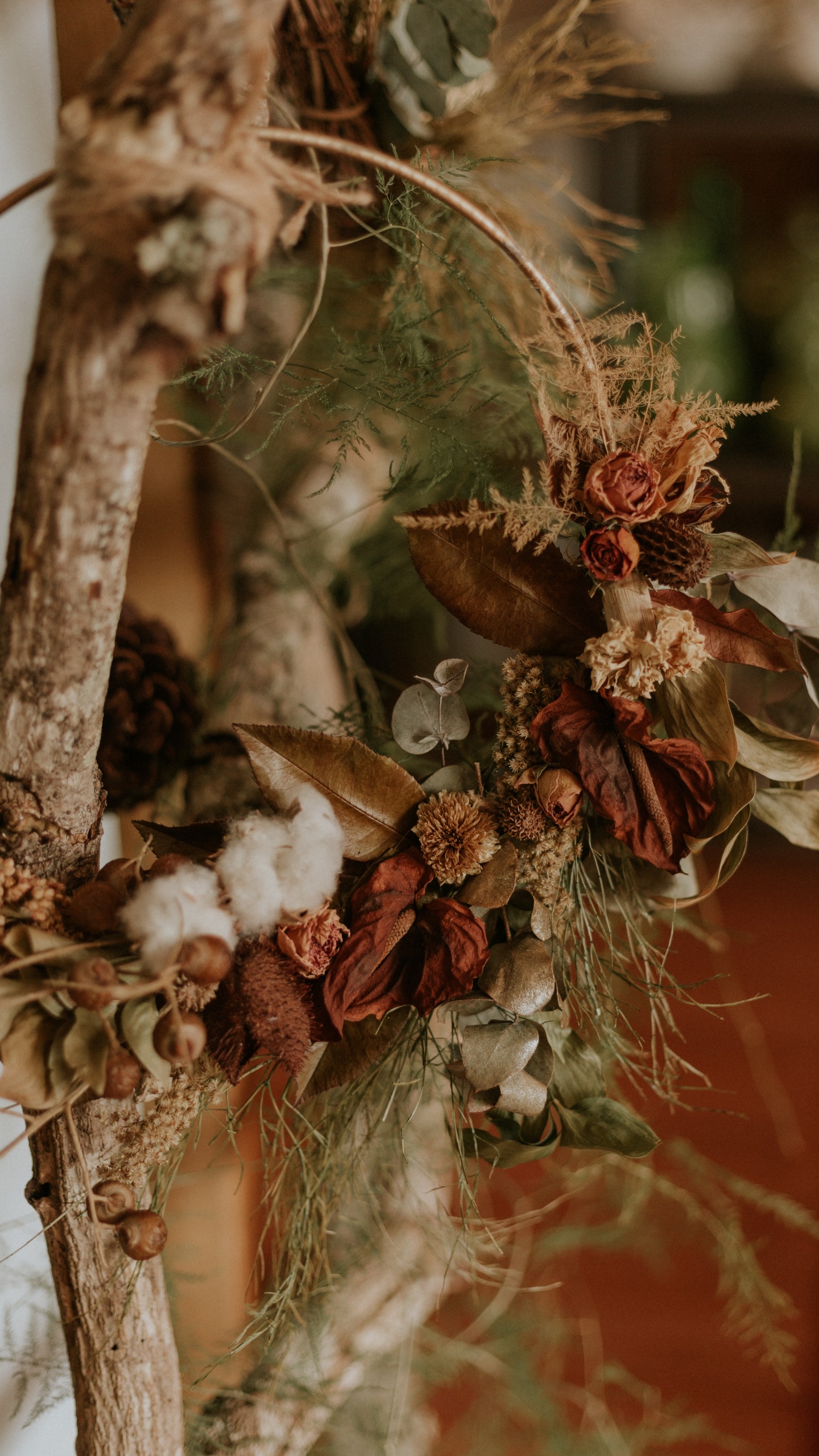 Обои Флора, семейства сосновых, цветок, натюрморт, прут в разрешении 1440x2560