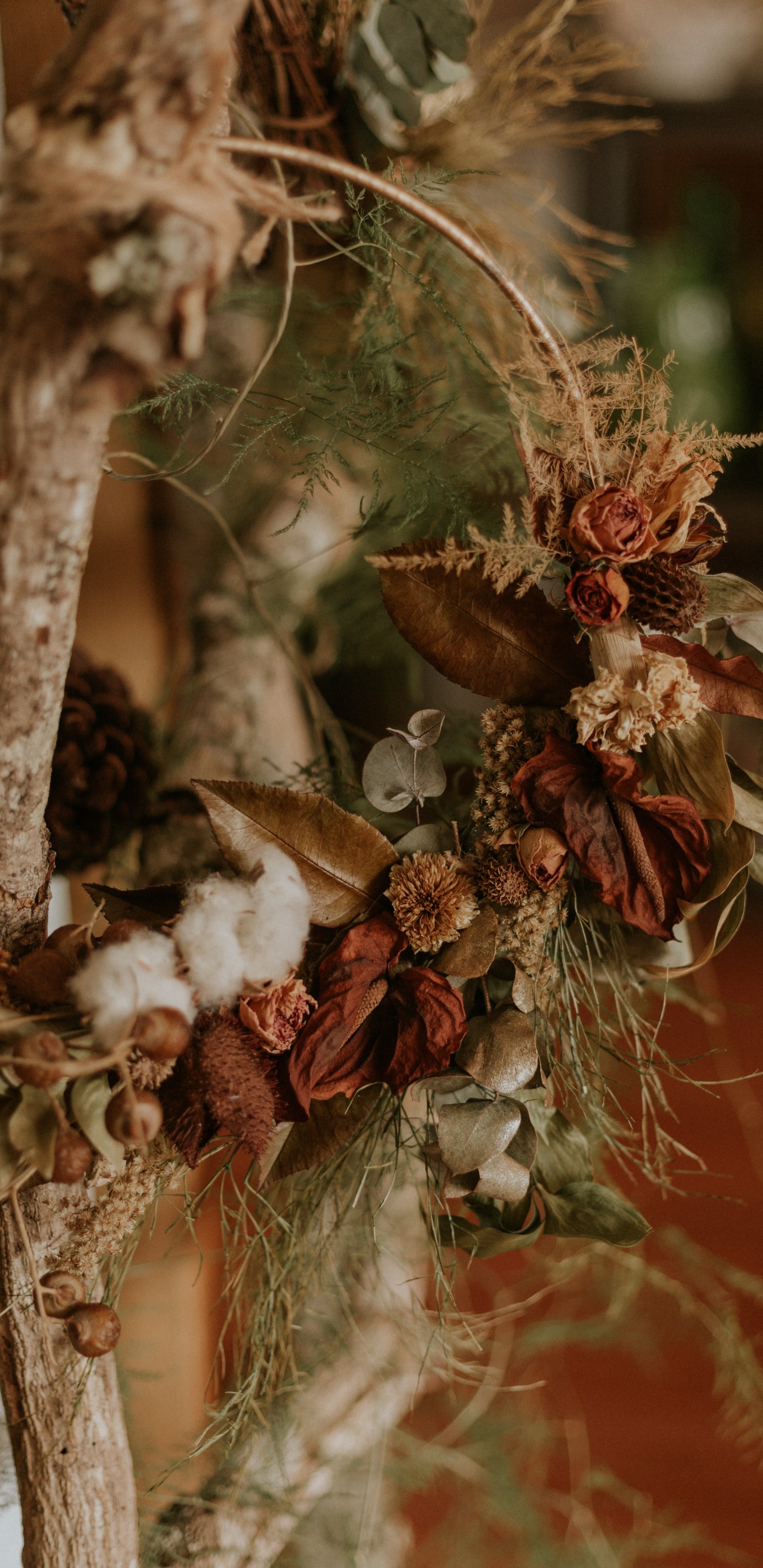 Обои Флора, семейства сосновых, цветок, натюрморт, прут в разрешении 1440x2960