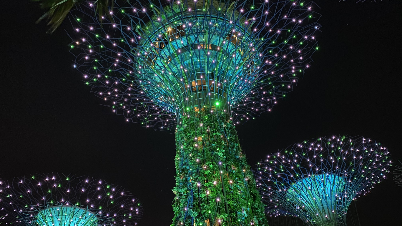 Обои Сингапур, освещение, Рождественские огни, земля, зеленый в разрешении 1366x768