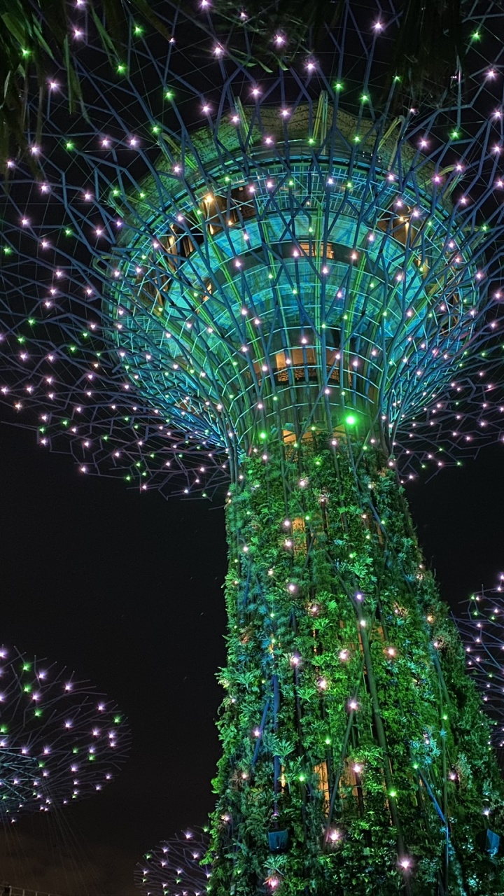 Обои Сингапур, освещение, Рождественские огни, земля, зеленый в разрешении 720x1280