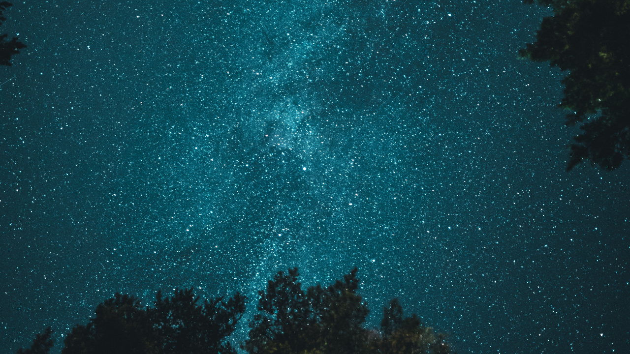 Обои дерево под ночным небом, дерево, ночь, звезда, атмосфера в разрешении 1280x720