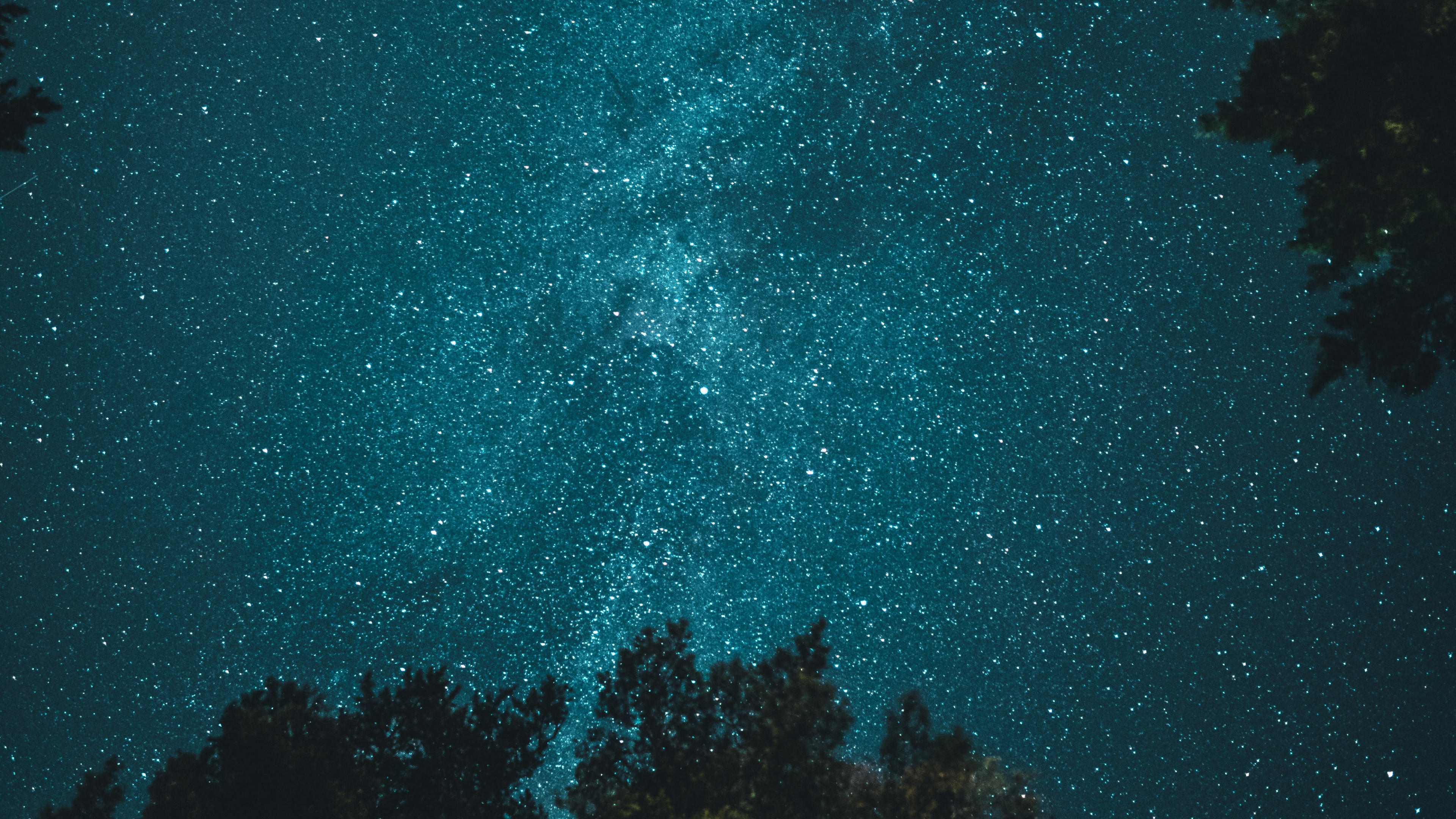 Обои дерево под ночным небом, дерево, ночь, звезда, атмосфера в разрешении 3840x2160