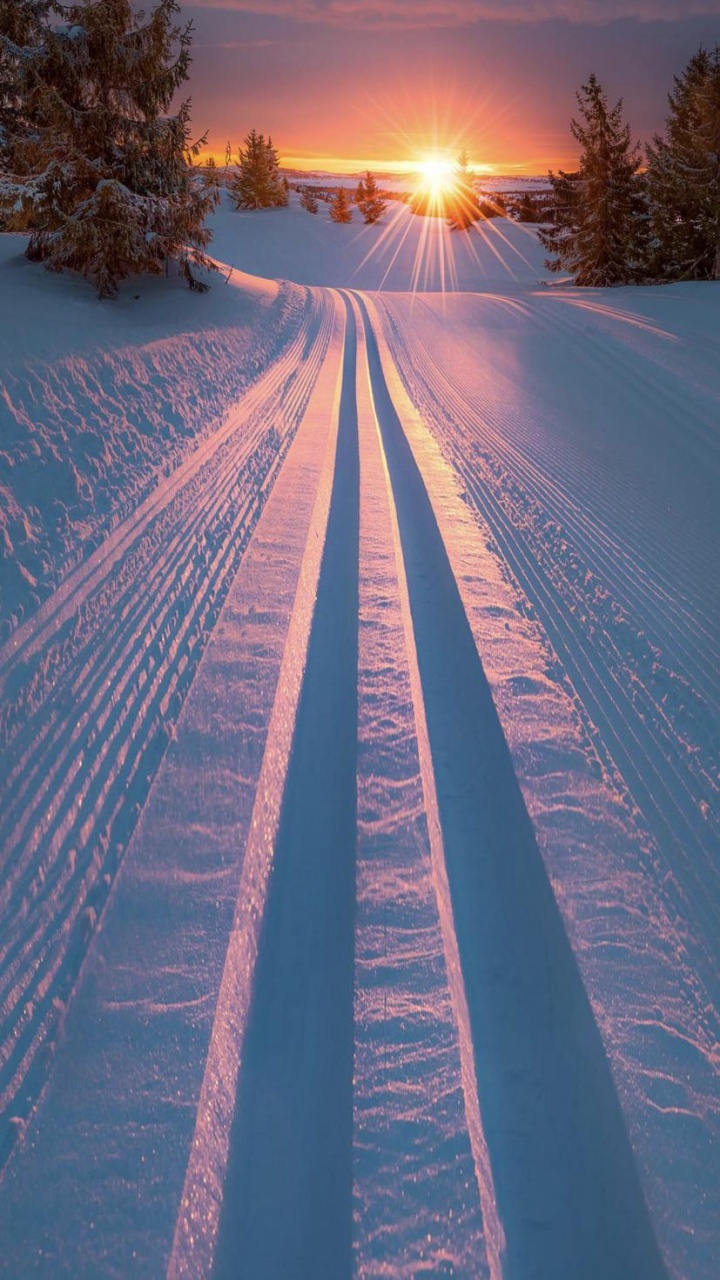 Обои снег, зима, дерево, природный ландшафт, солнечный свет в разрешении 720x1280