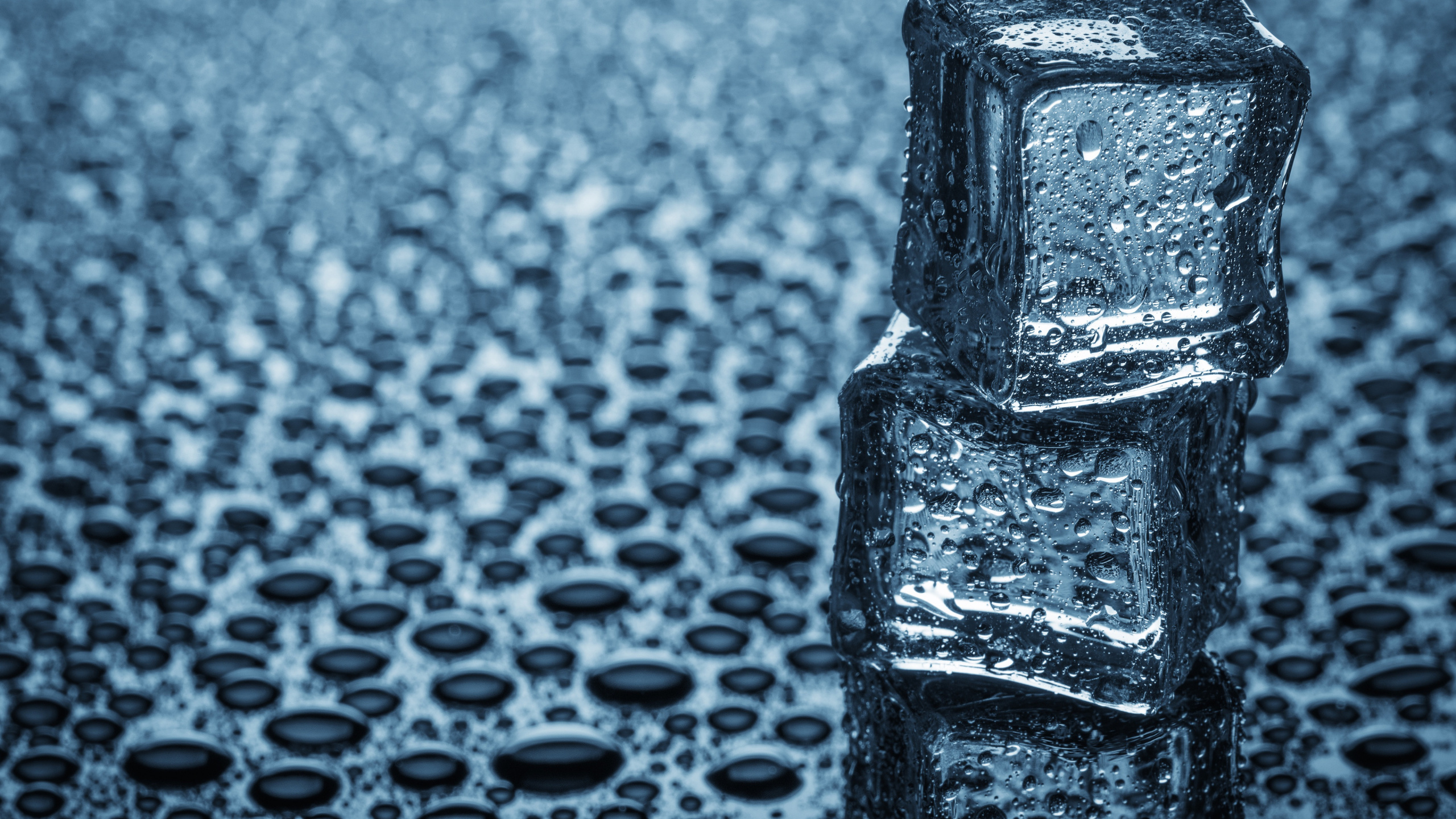 Обои вода, проступок, автомобильные шины, жидкий, прямоугольник в разрешении 2560x1440