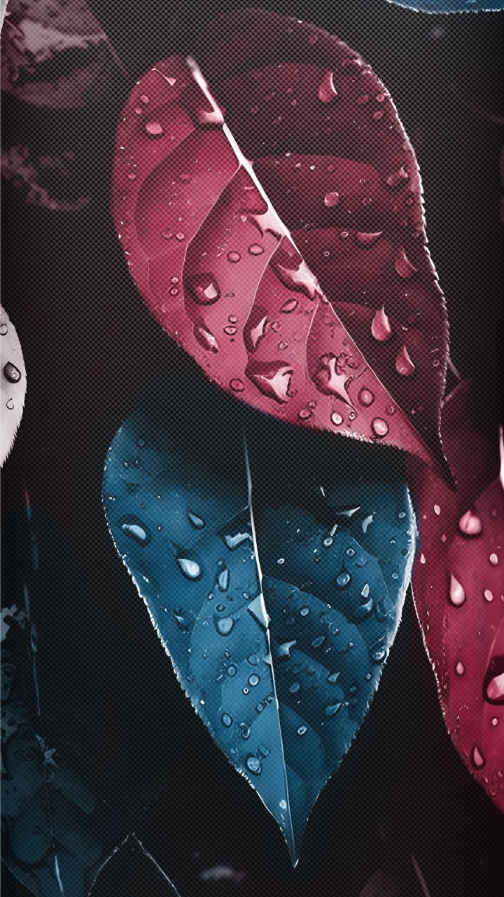 Обои узор, 2024 год, вода, растение, жидкий в разрешении 720x1280