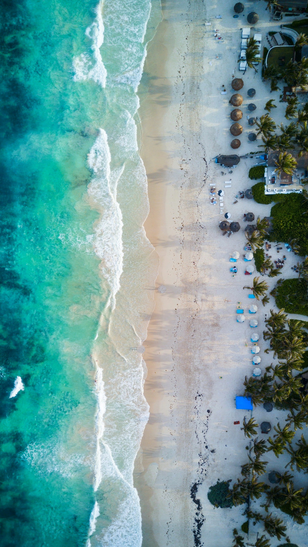 Обои отражение, вода, гидроресурсы, растение, лазурный в разрешении 1080x1920