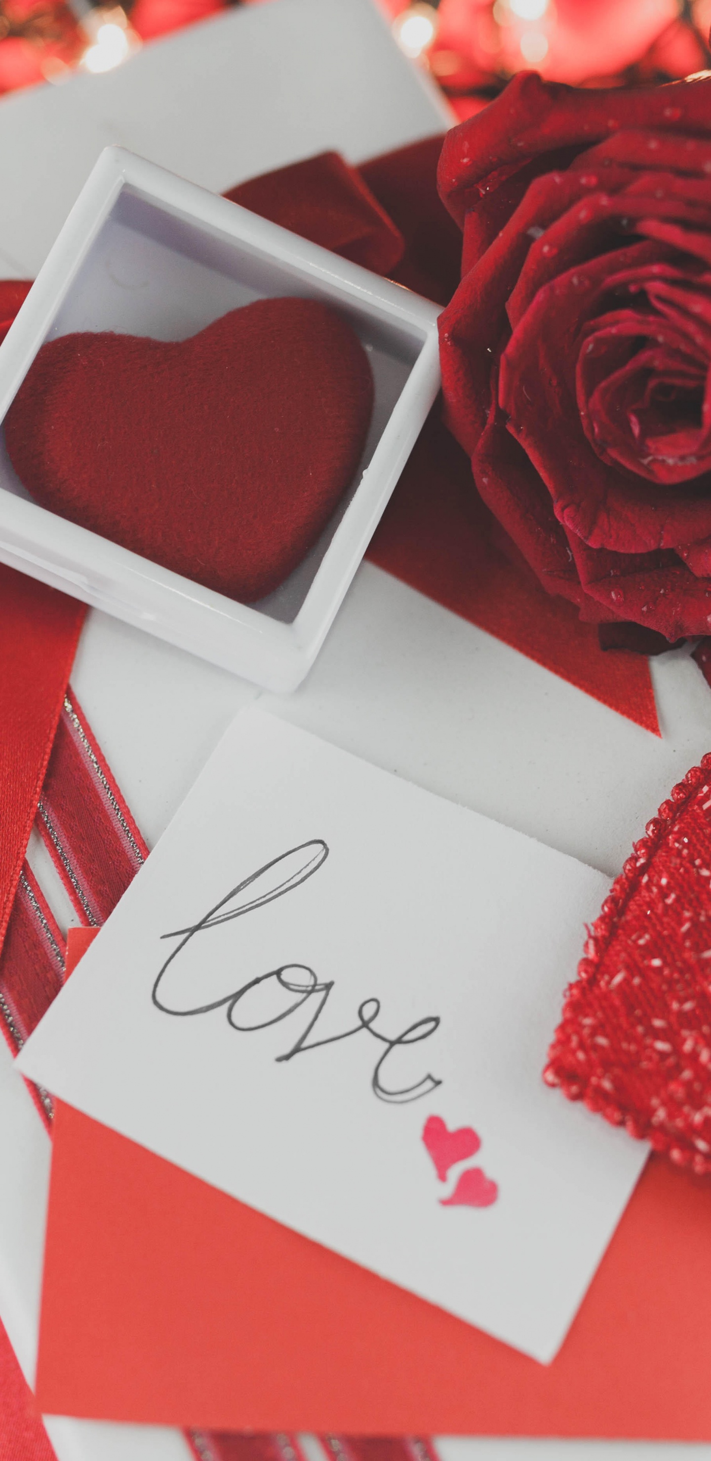 Обои День Святого Валентина, Роза, цветок, сад роз, красный цвет в разрешении 1440x2960