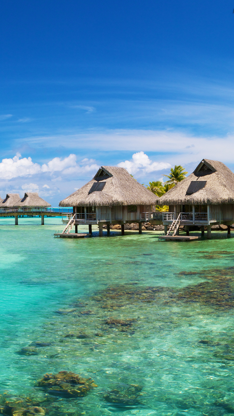 Обои борабора, Остров, курортный остров, тропическая зона, Карибский бассейн в разрешении 750x1334