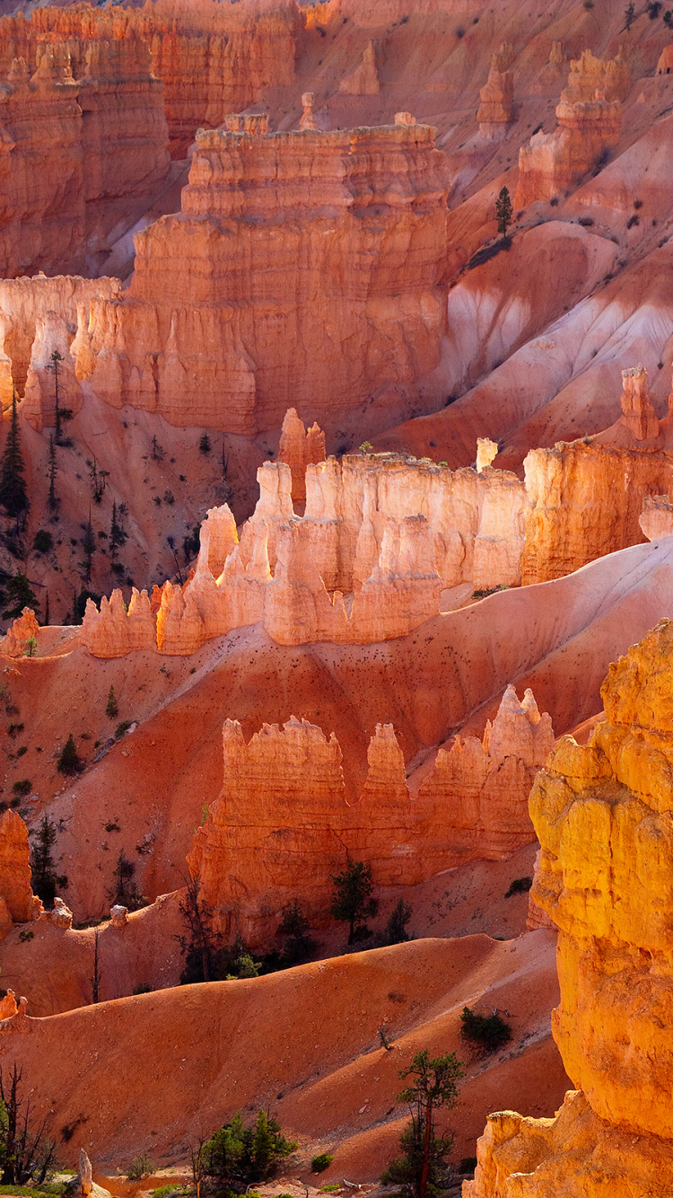 Обои Брайс-каньон, Город Брайс-Каньон, национальный парк кэпитол риф, парк, национальный парк в разрешении 750x1334