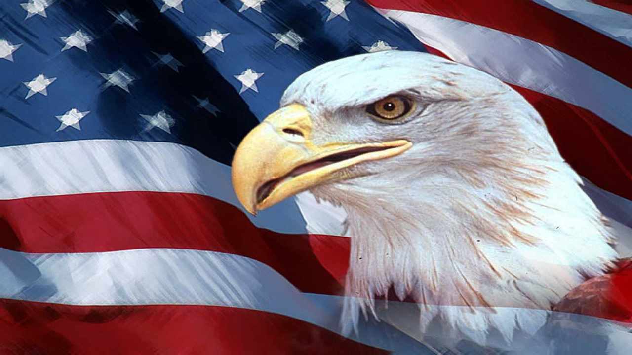 Обои Орел, флаг, флаг Соединенных Штатов, белоголовый Орлан, хищная птица в разрешении 1280x720