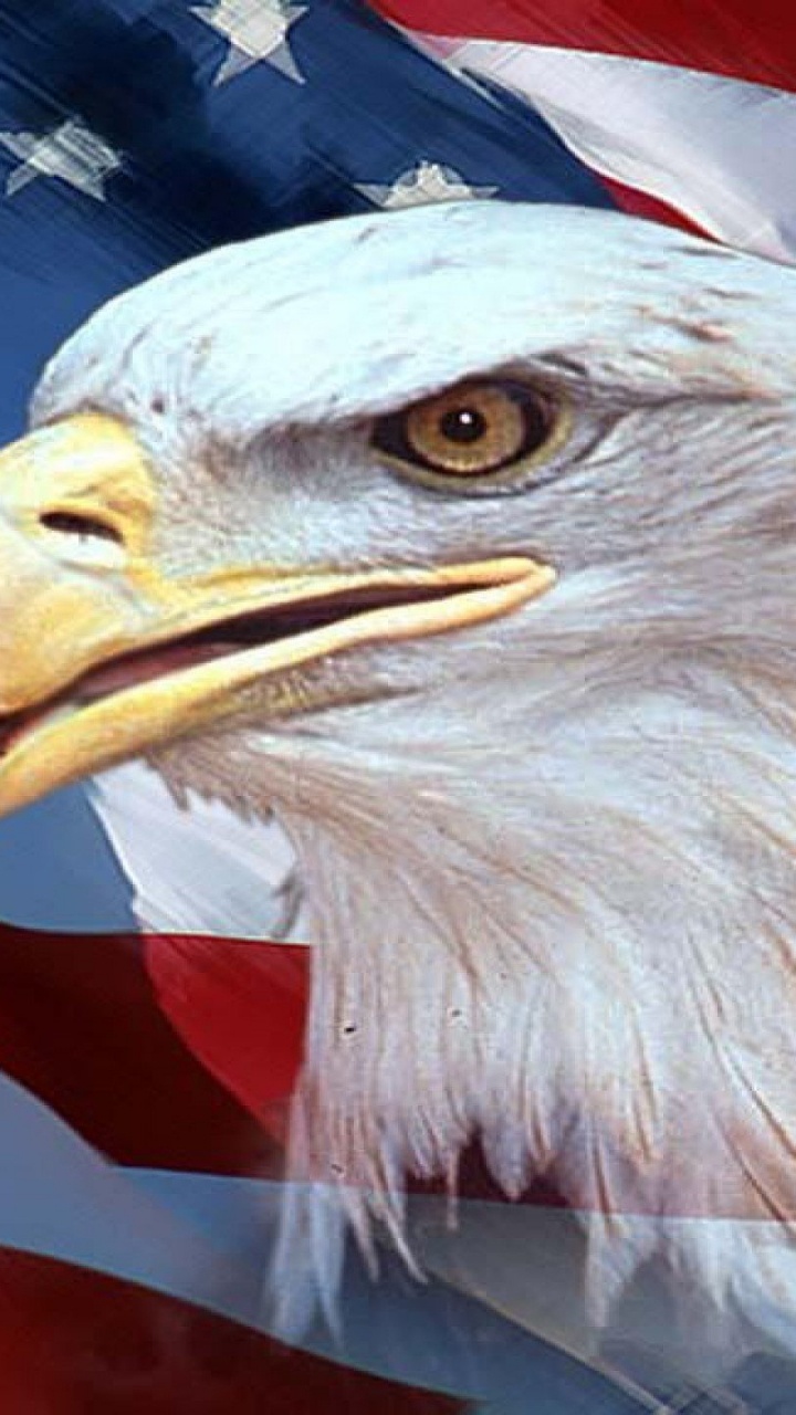 Обои Орел, флаг, флаг Соединенных Штатов, белоголовый Орлан, хищная птица в разрешении 720x1280