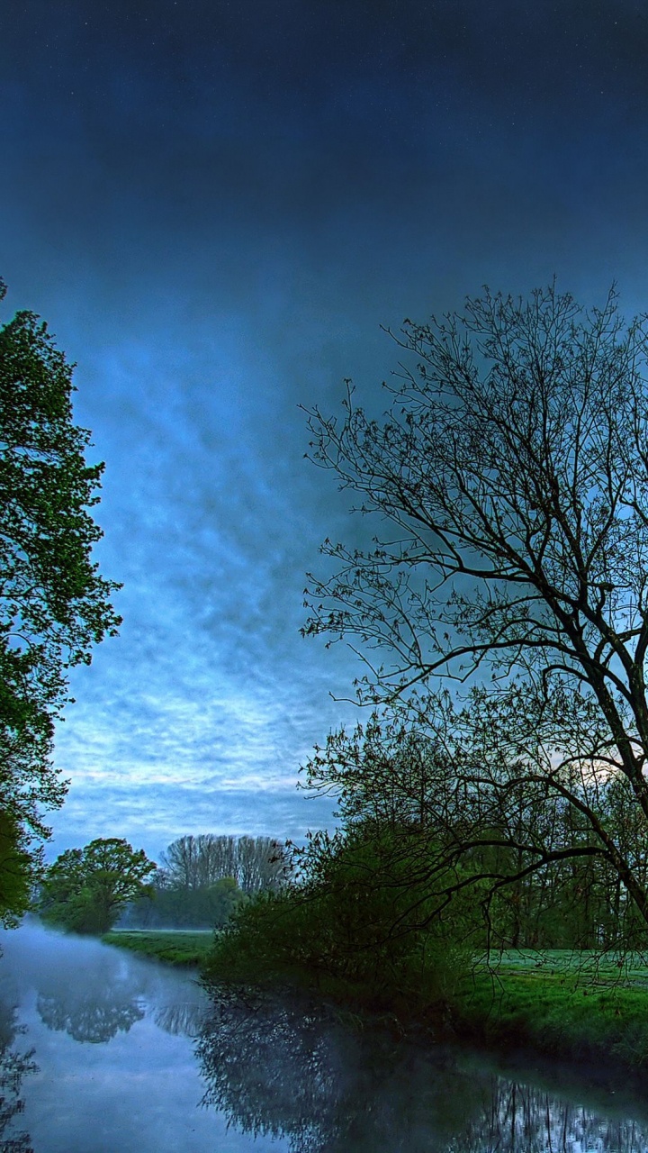 Обои портрет, природный ландшафт, природа, вода, дерево в разрешении 720x1280