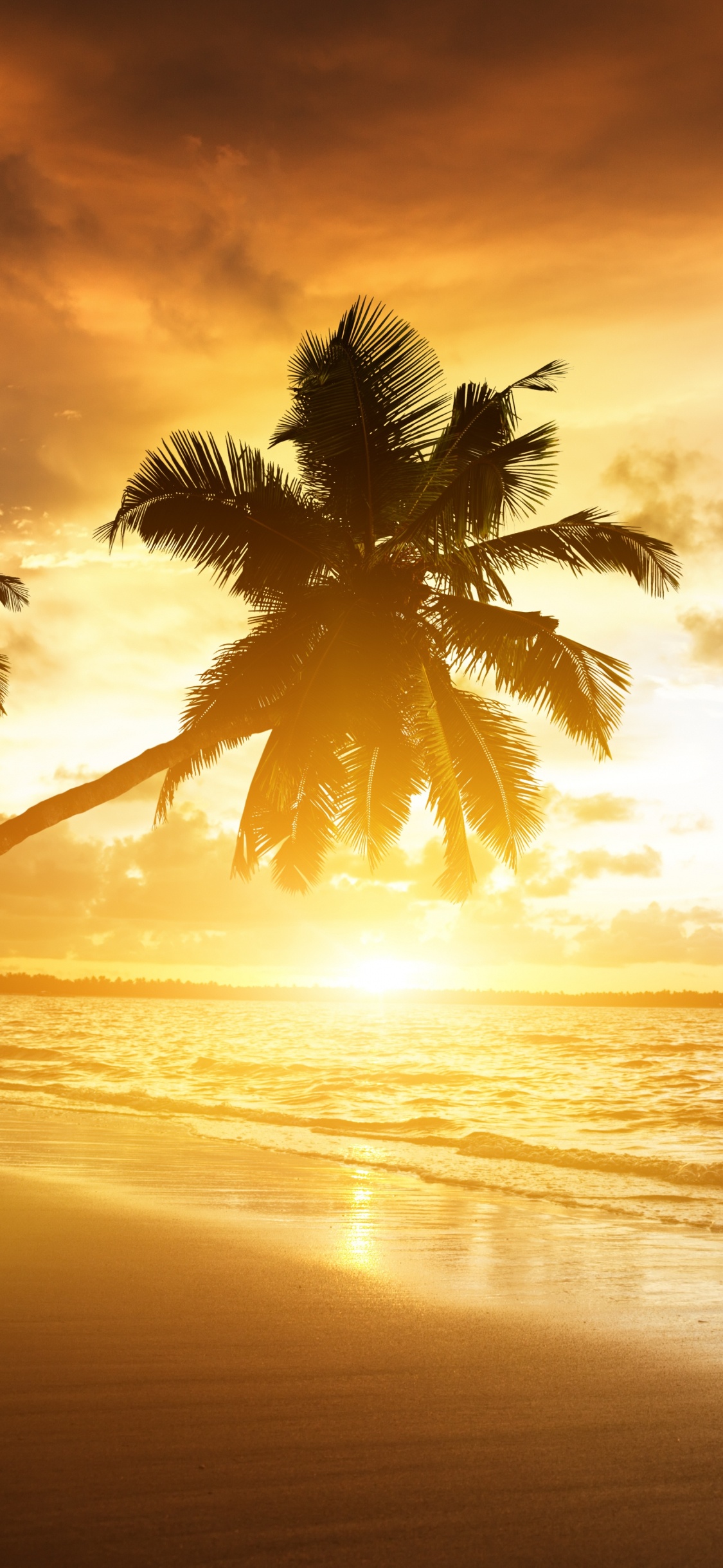 Обои закат, пляж, природа, горизонт, восход солнца в разрешении 1125x2436