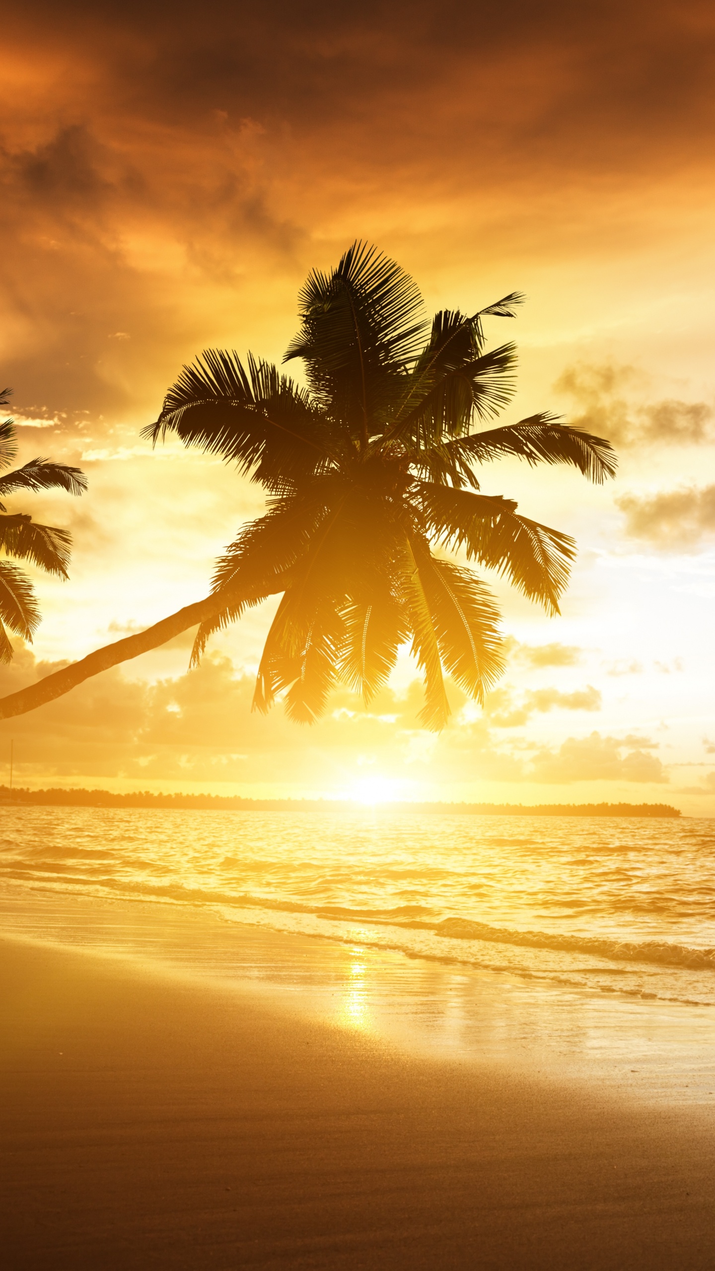 Обои закат, пляж, природа, горизонт, восход солнца в разрешении 1440x2560