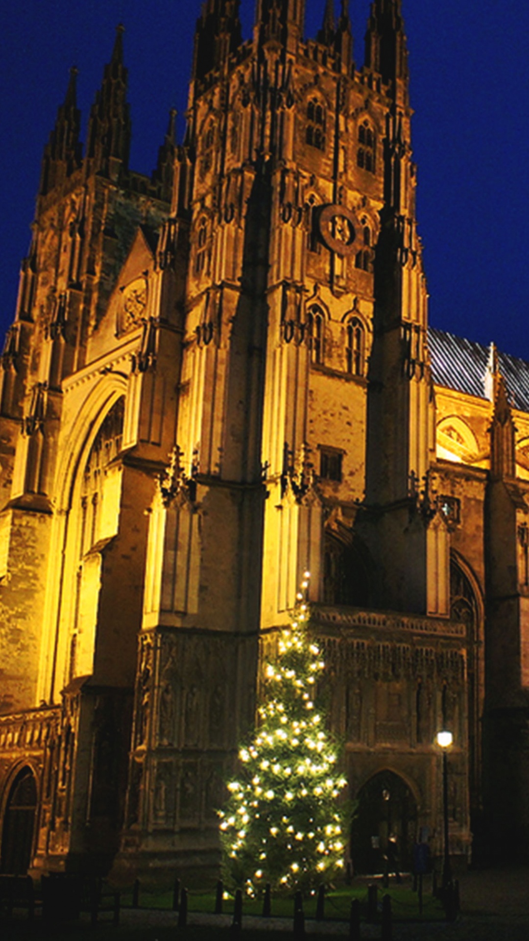 Обои собор, готическая архитектура, ориентир, ночь, здание в разрешении 1080x1920