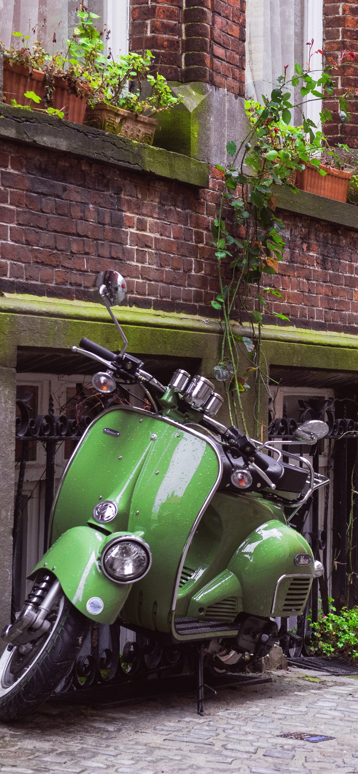Обои Скутер, мотоцикл, мопед, Веспа, зеленый в разрешении 1242x2688