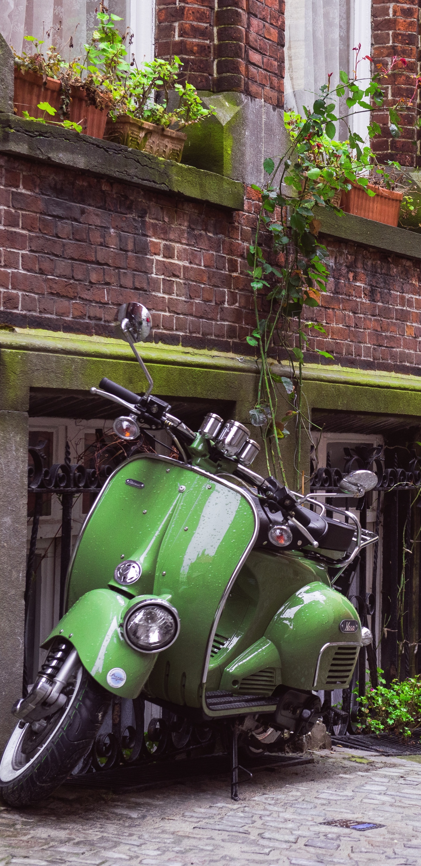 Обои Скутер, мотоцикл, мопед, Веспа, зеленый в разрешении 1440x2960