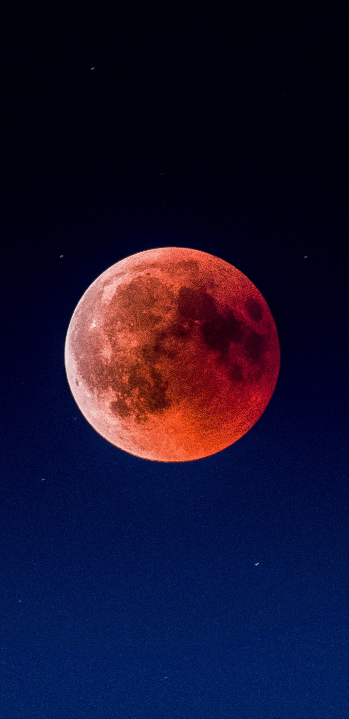 Обои лунное затмение, луна, затмение, небесное явление, атмосфера в разрешении 1440x2960