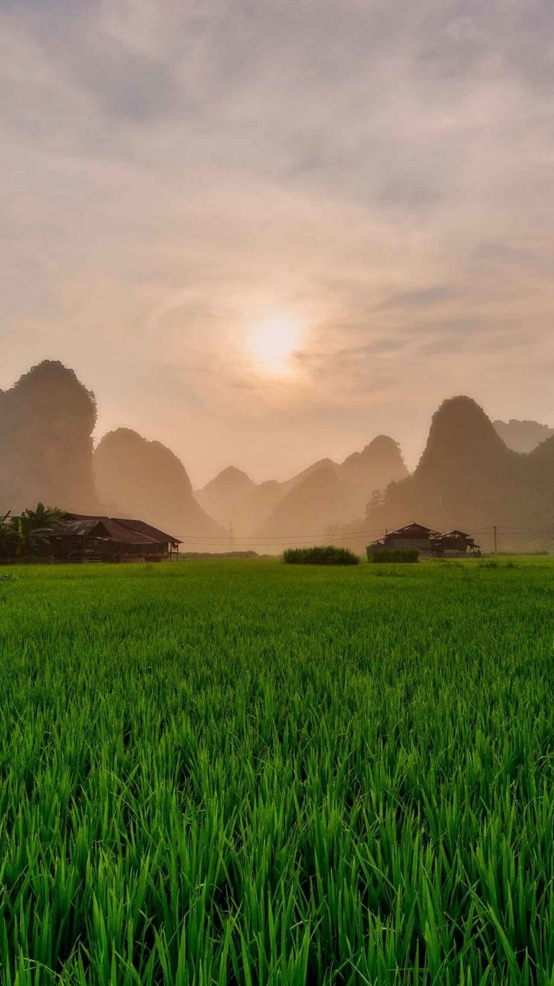 Обои поле, смартфон, природа, природный ландшафт, горный рельеф в разрешении 1080x1920