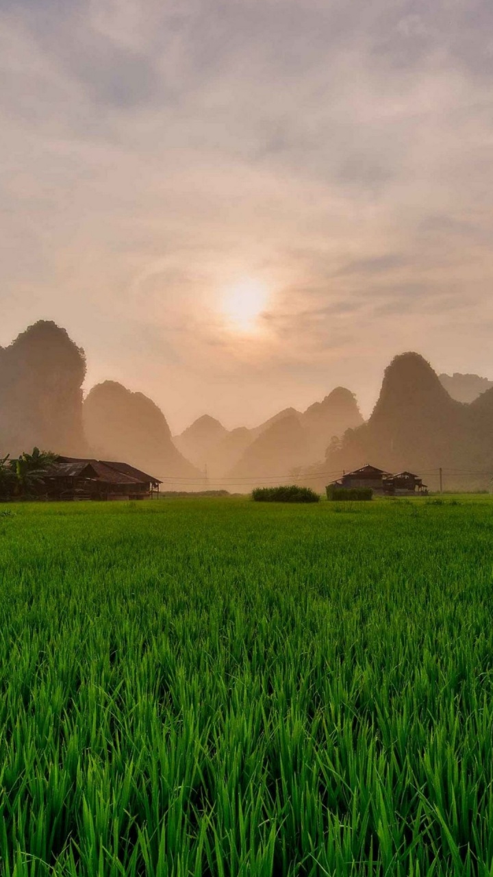 Обои поле, смартфон, природа, природный ландшафт, горный рельеф в разрешении 720x1280